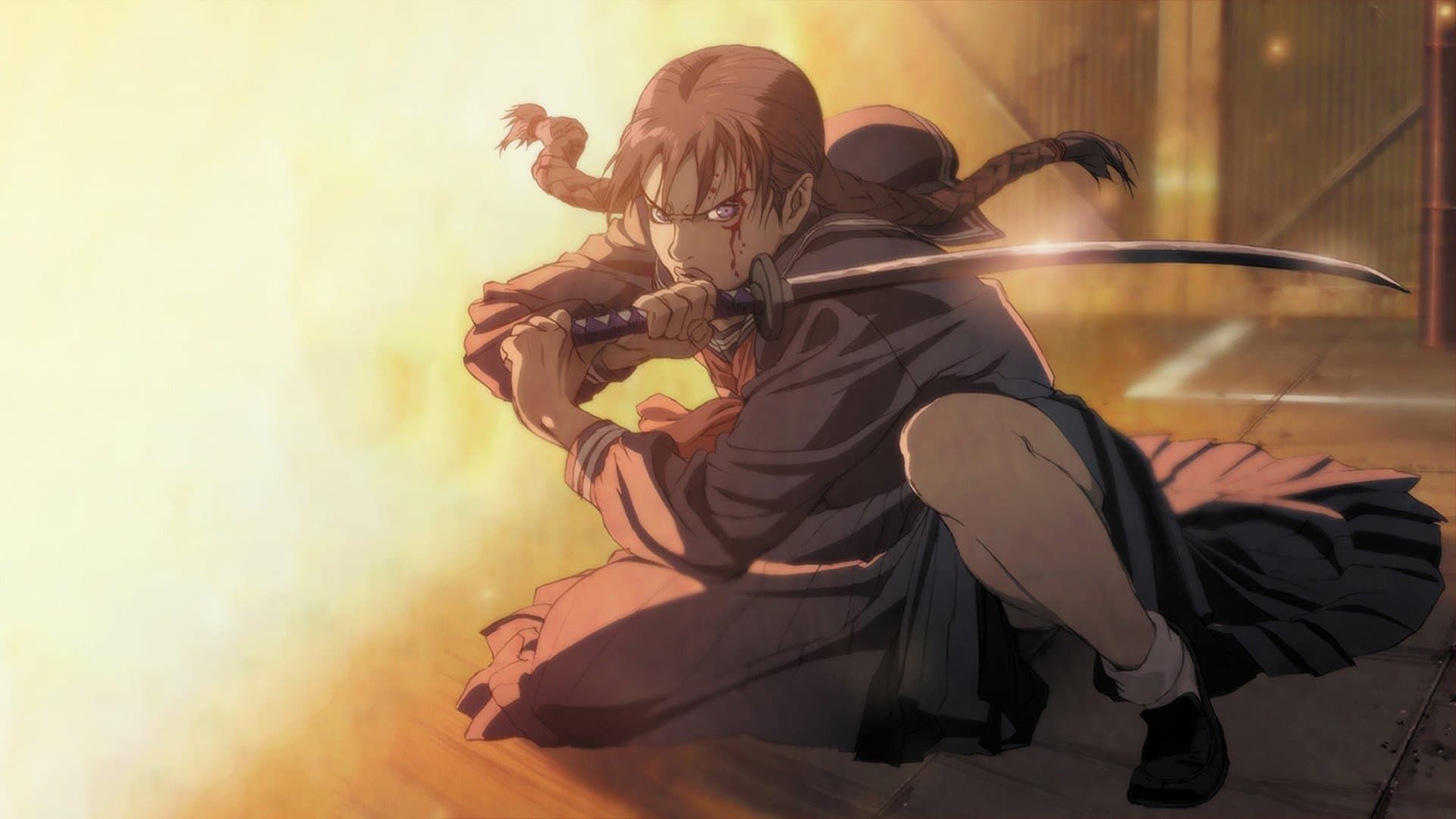 Photo d'illustration du film Blood: The Last Vampire