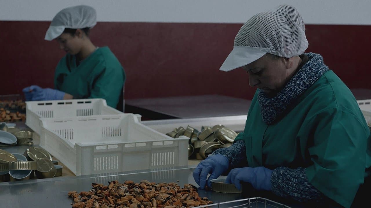 Photo d'illustration du film Matria