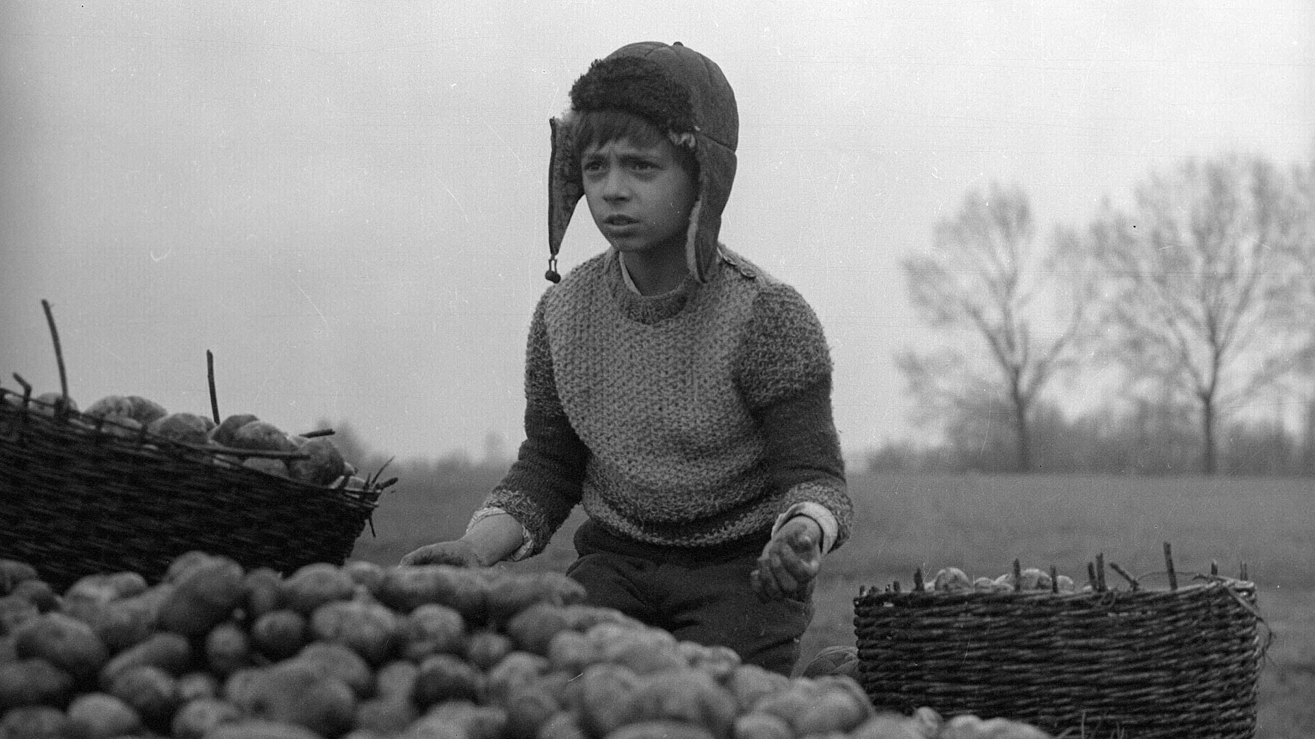 Photo d'illustration du film Konopielka