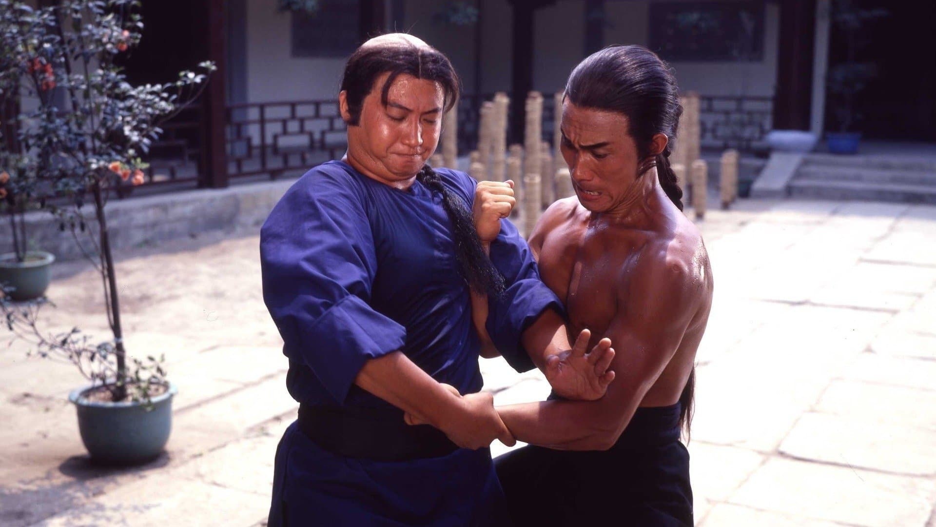 Photo d'illustration du film Warriors Two