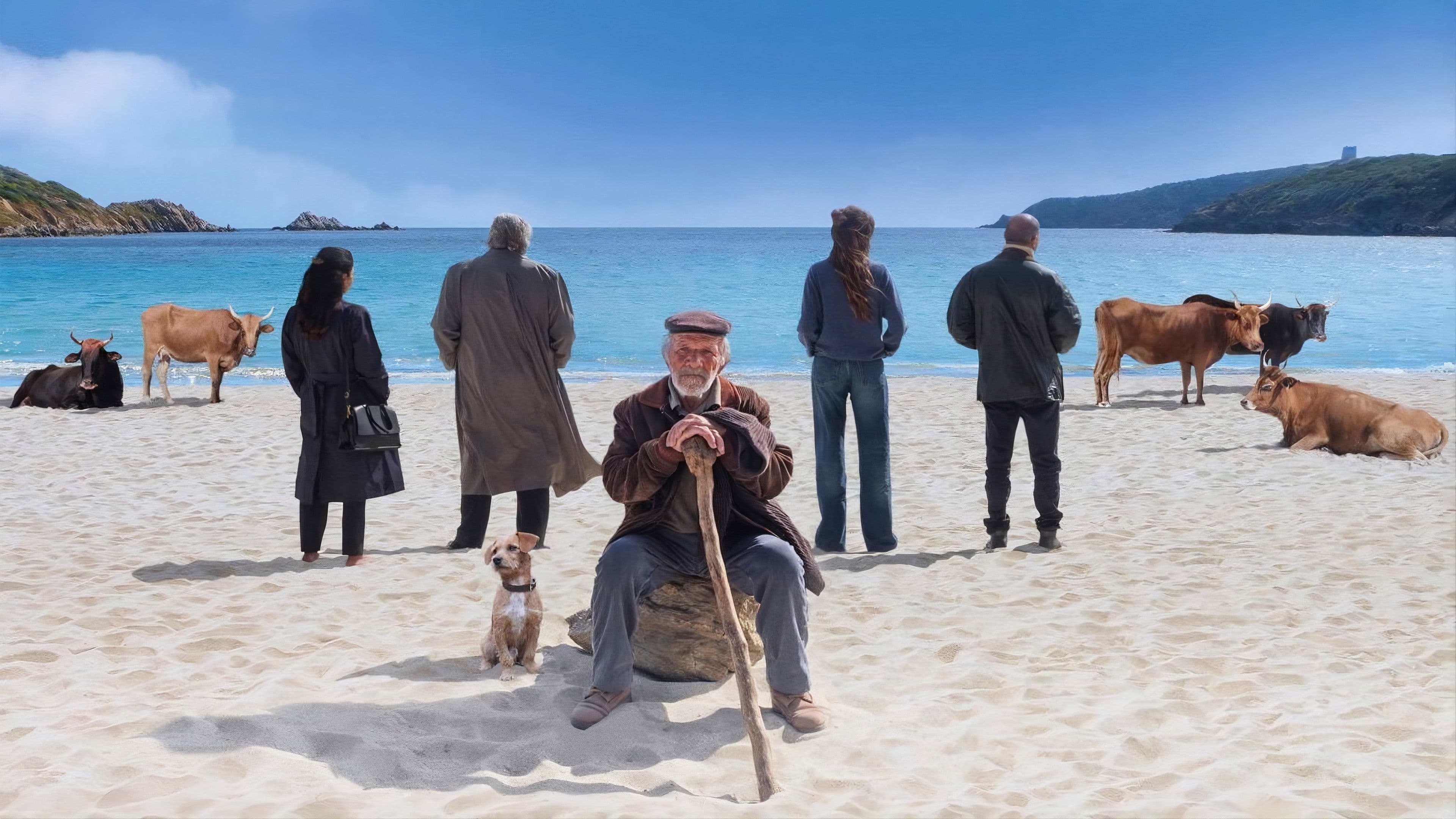 Photo d'illustration du film La vita va così