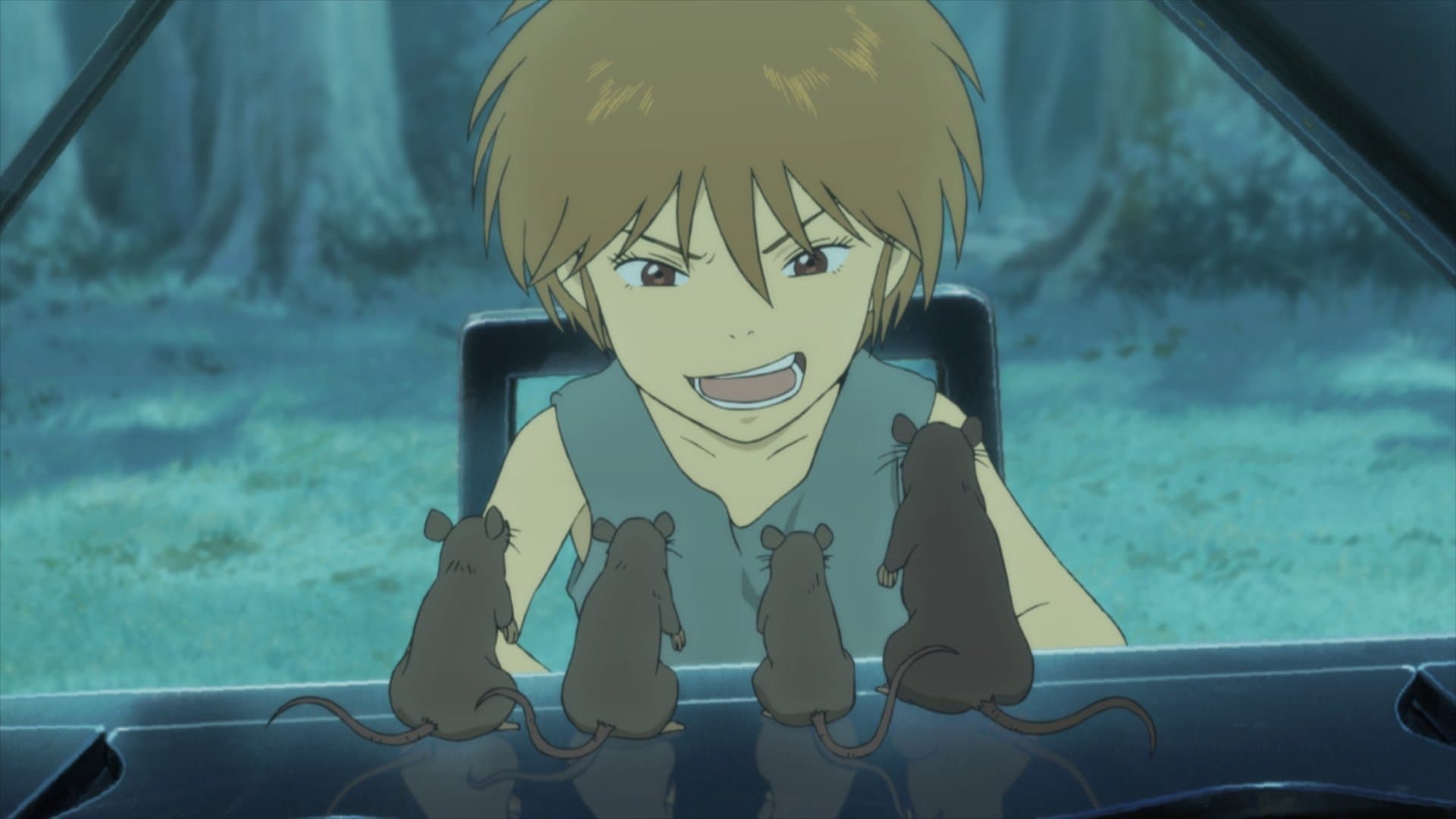 Photo d'illustration du film Piano Forest