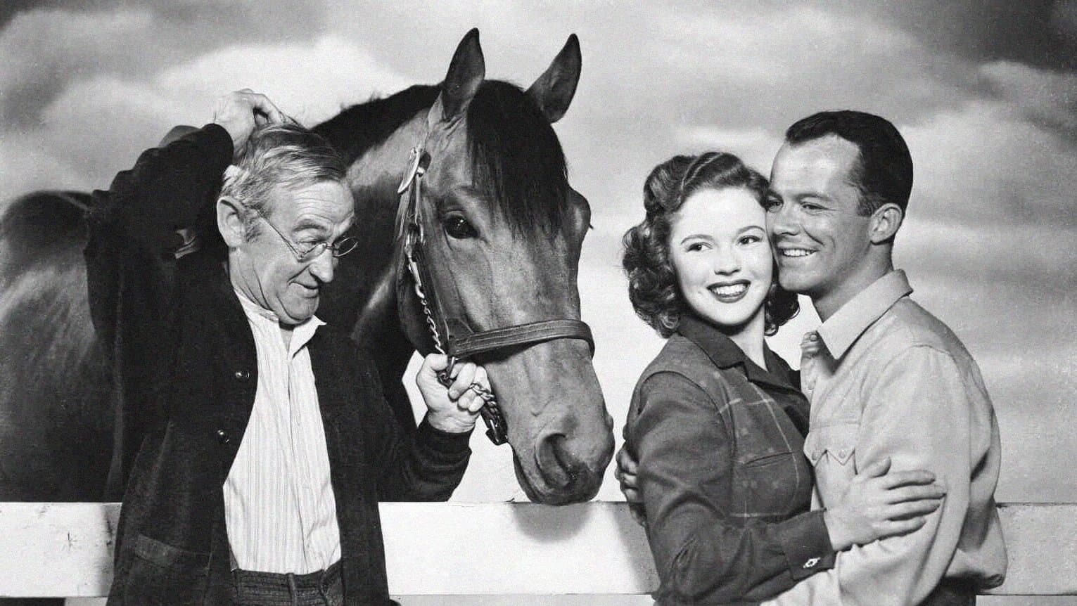 Photo d'illustration du film The Story of Seabiscuit