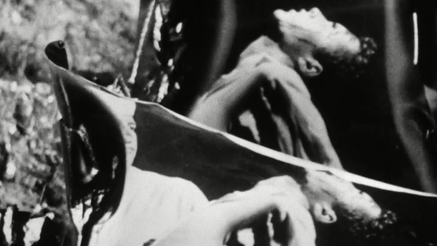 Photo d'illustration du film Fireworks