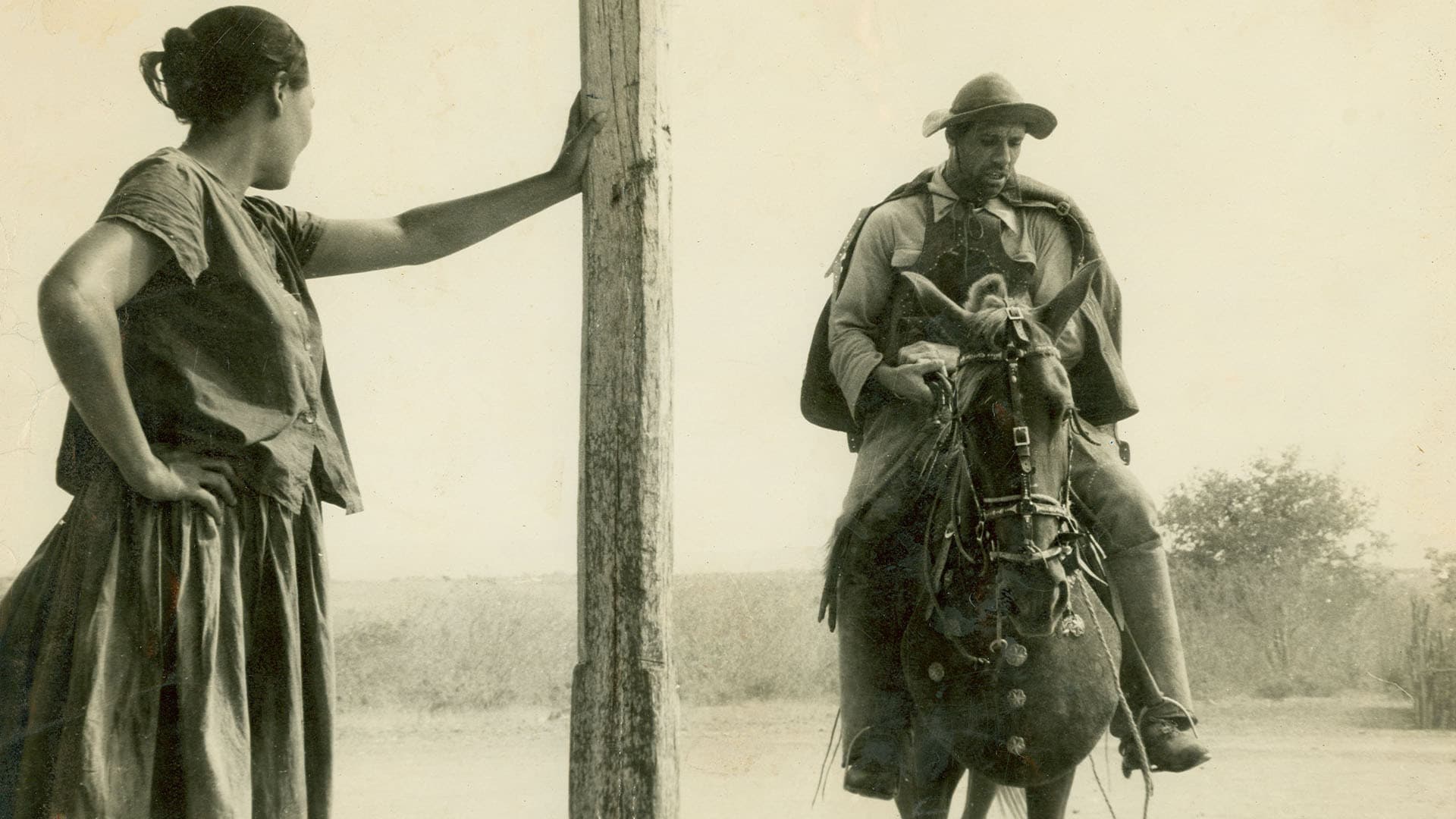 Photo d'illustration du film Sécheresse