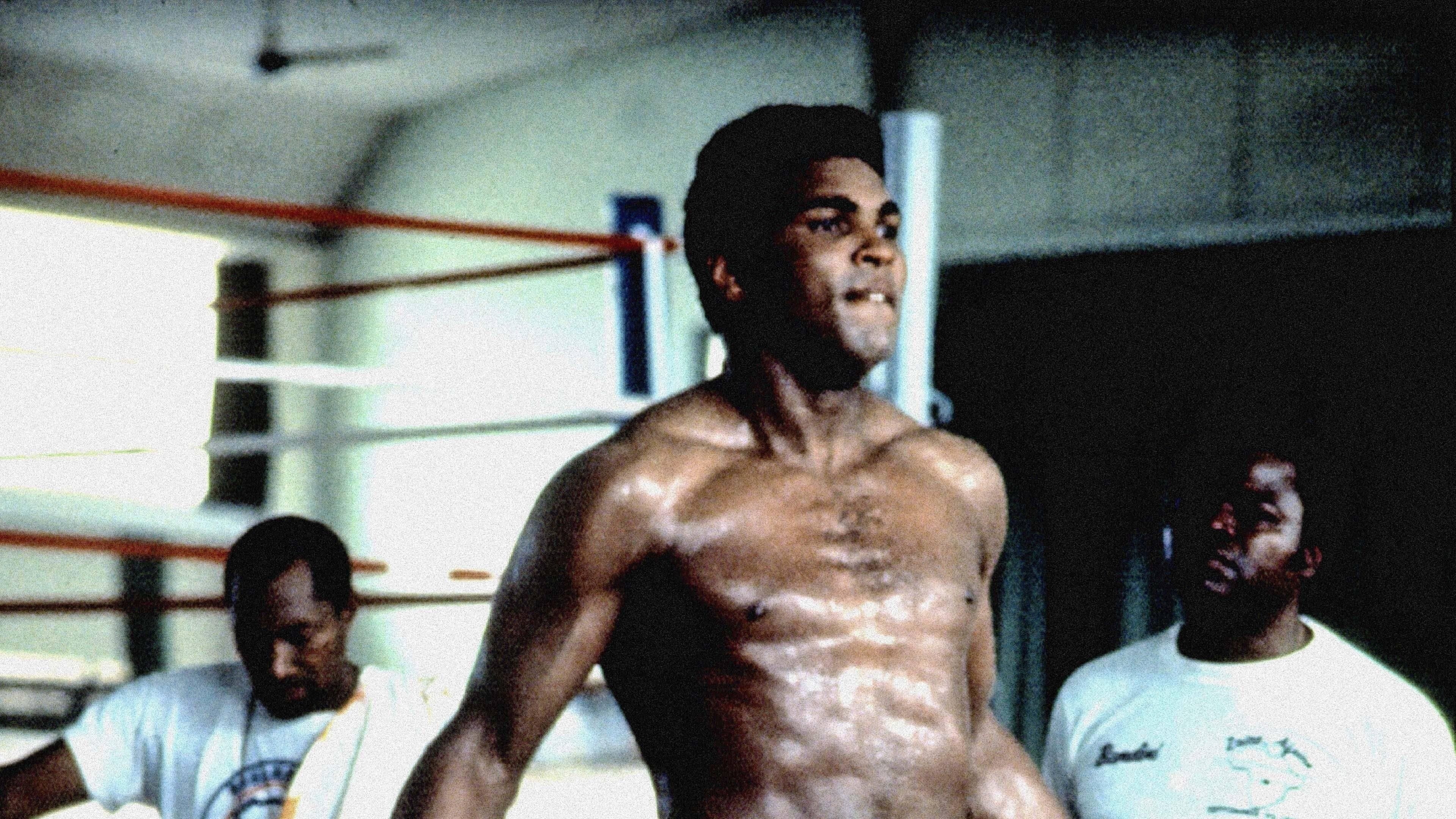 Photo d'illustration du film When We Were Kings