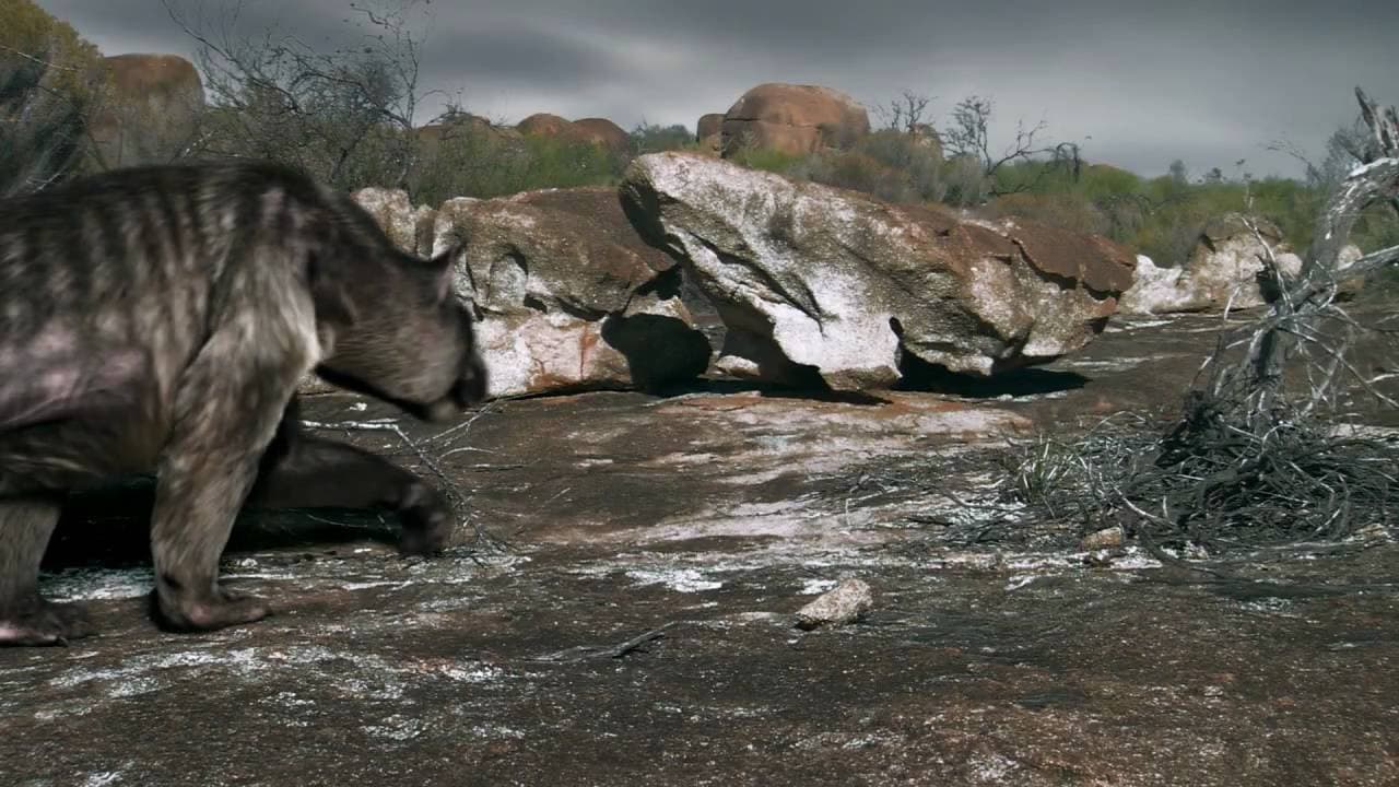 Photo d'illustration du film Death of the Megabeasts