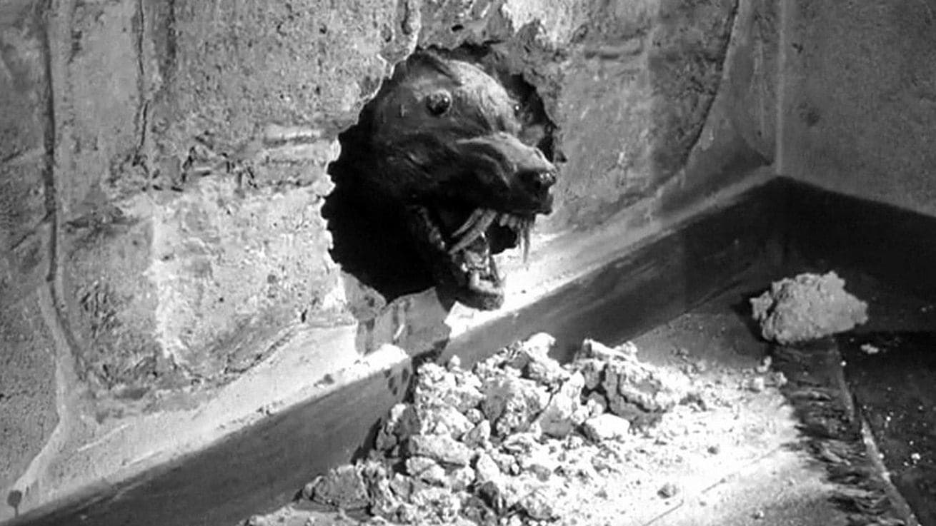 Photo d'illustration du film The Killer Shrews