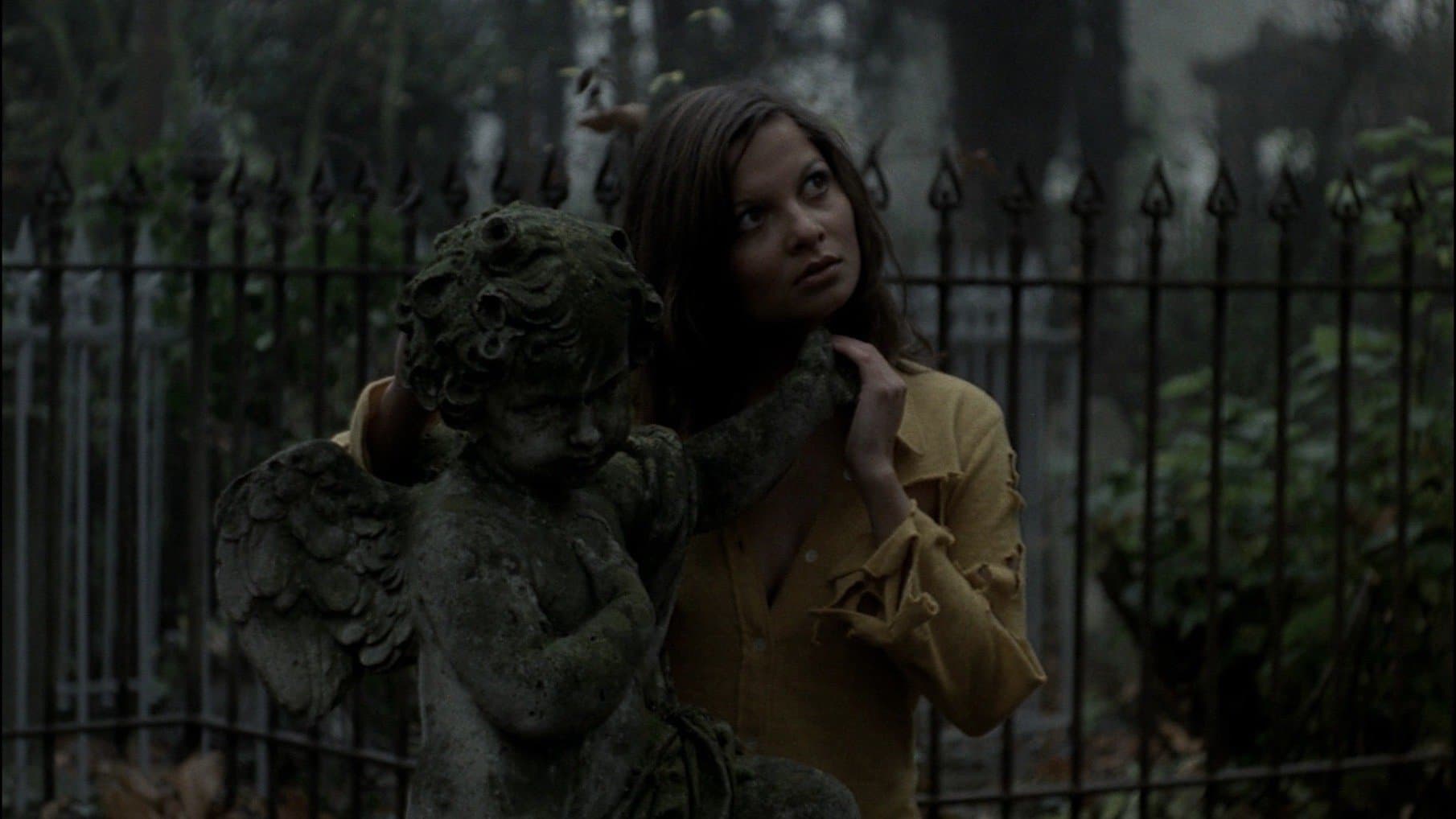 Photo d'illustration du film La Rose de fer