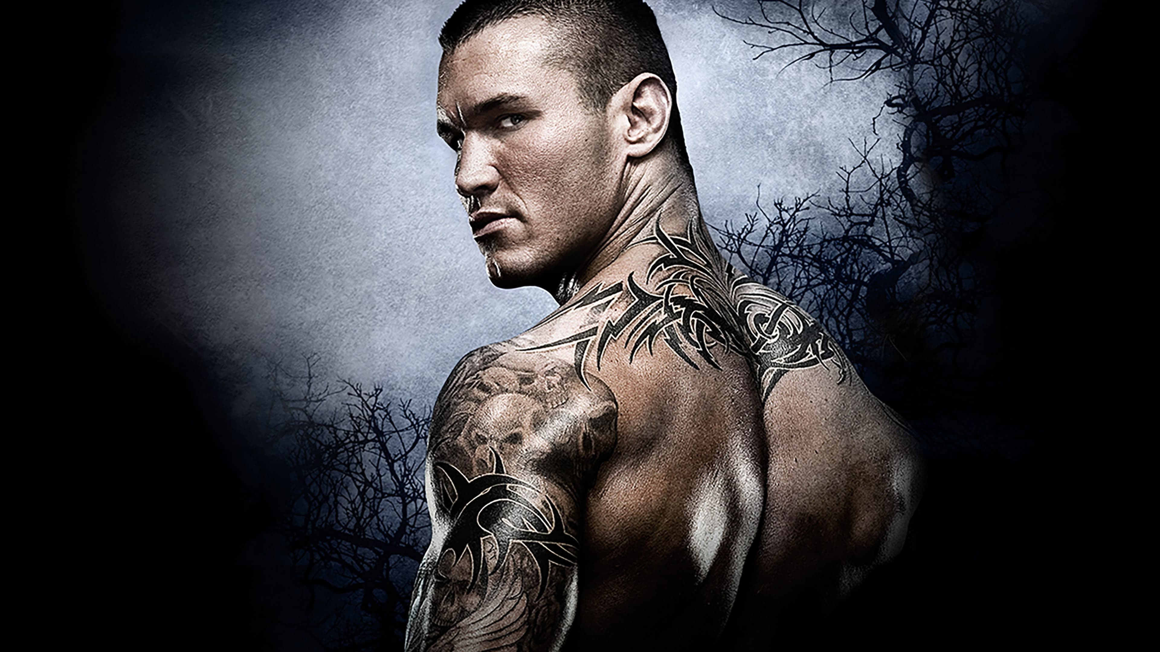 Photo d'illustration du film WWE Backlash 2009