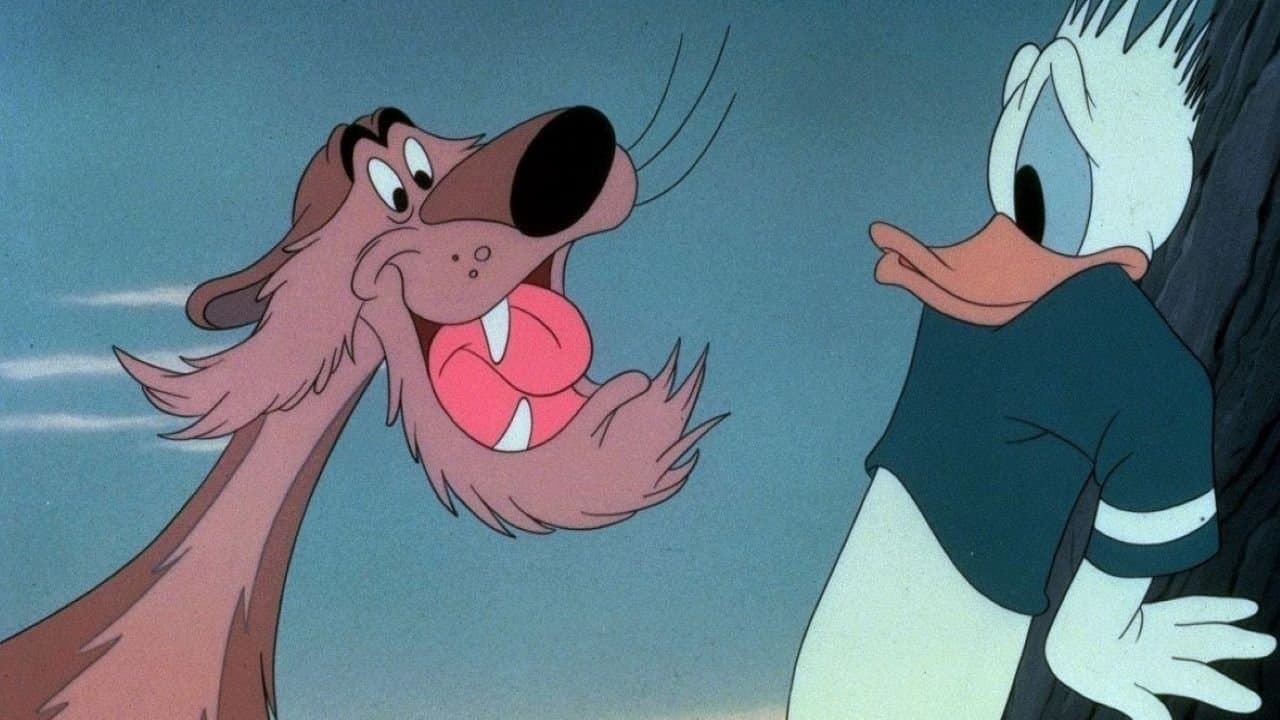 Photo d'illustration du film Attention au Lion