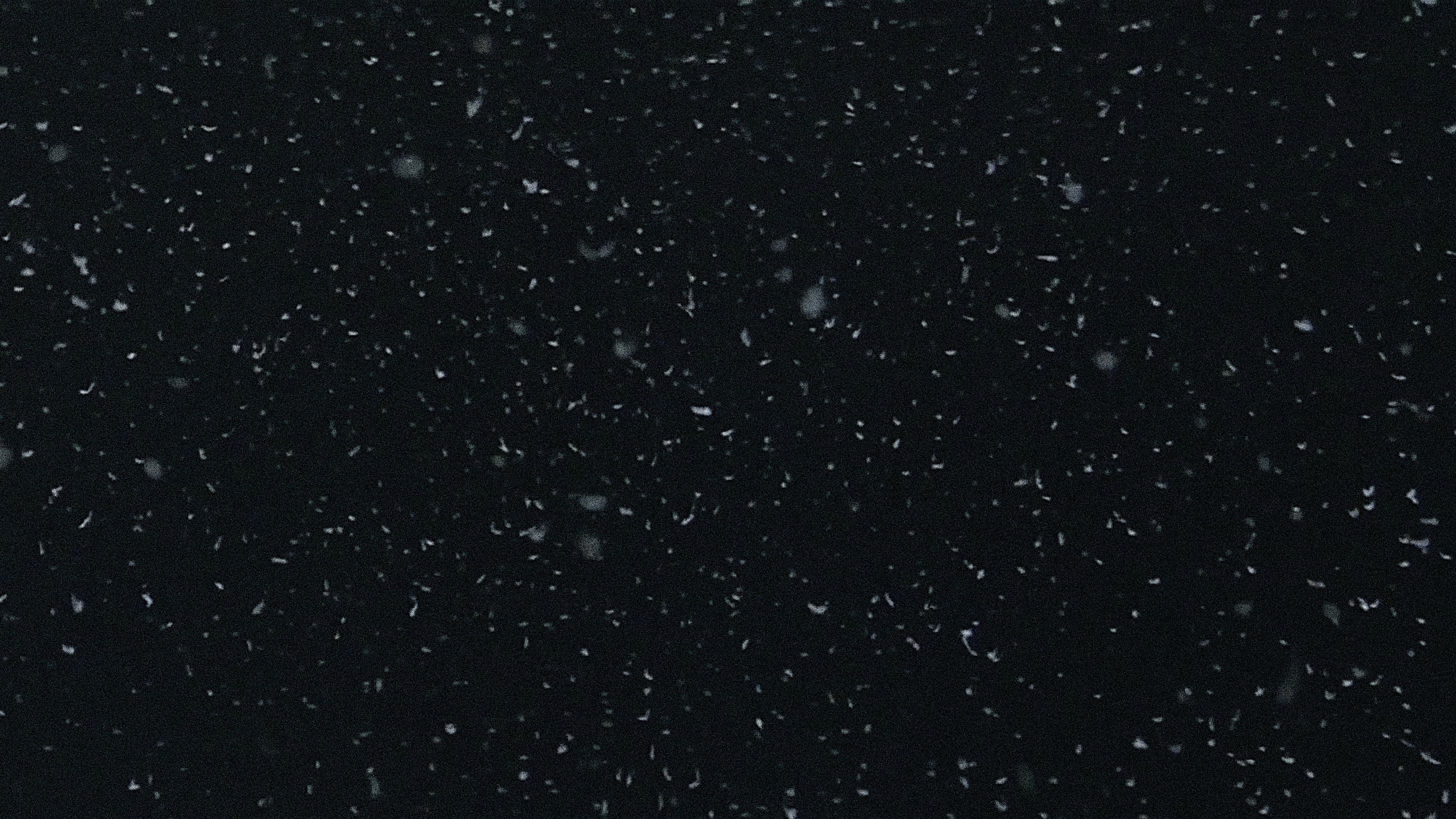 Photo d'illustration du film L'Amour à mort