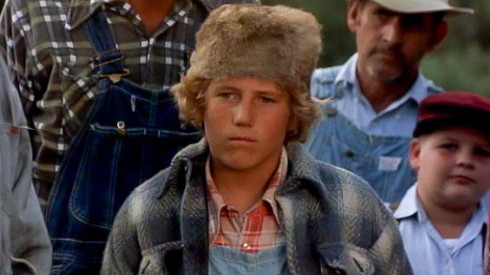 Photo d'illustration du film Where the Red Fern Grows