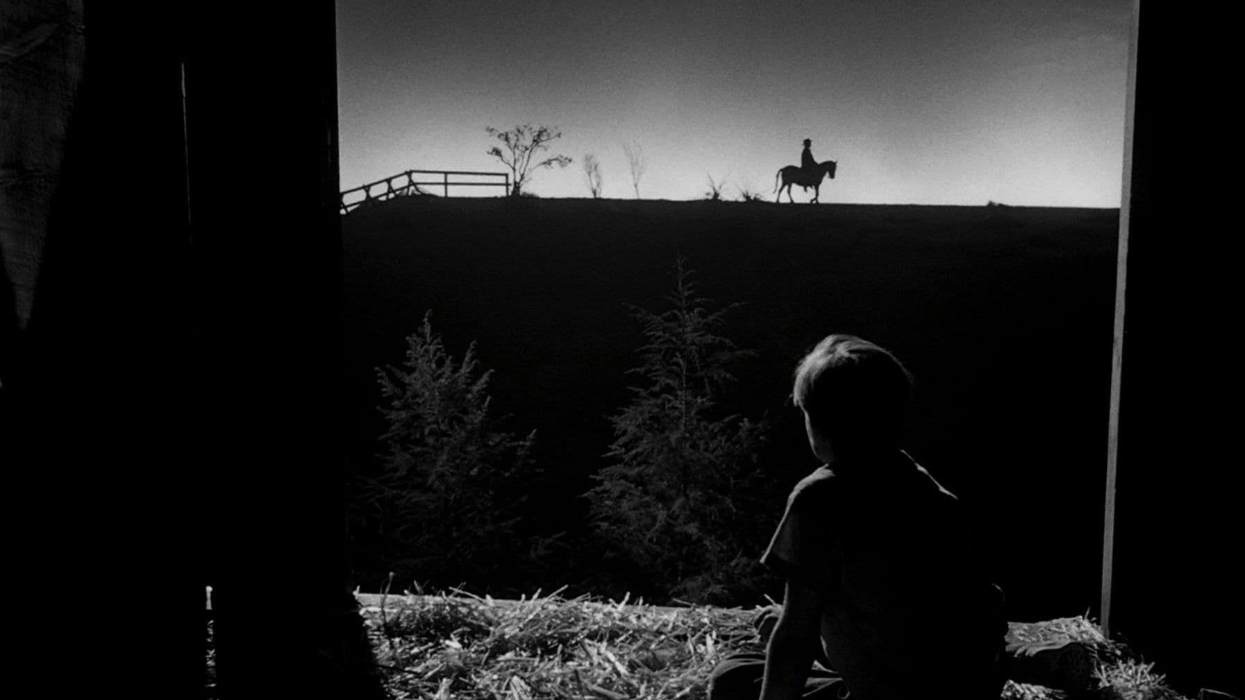 Photo d'illustration du film La Nuit du chasseur