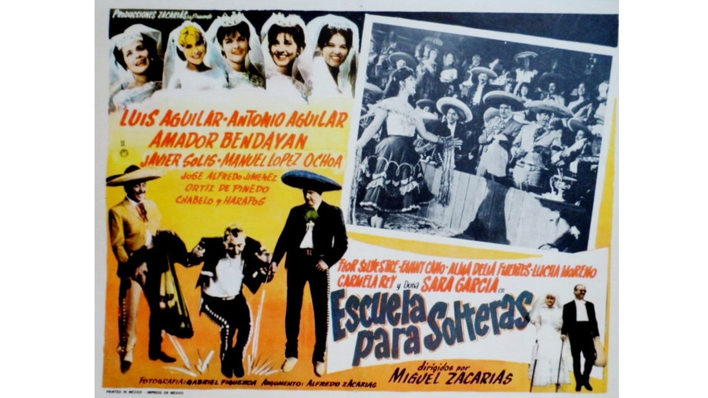 Photo d'illustration du film Escuela para solteras