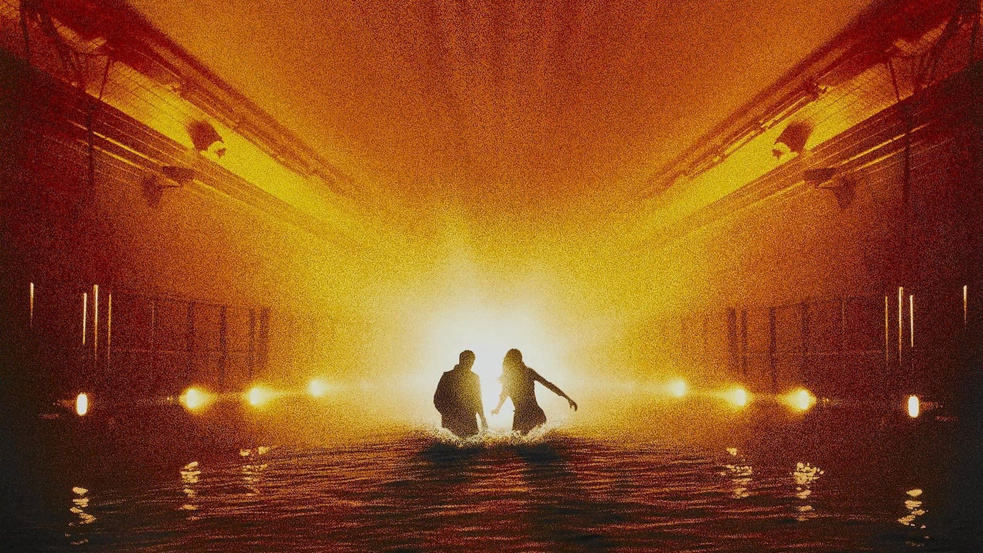 Photo d'illustration du film Daylight