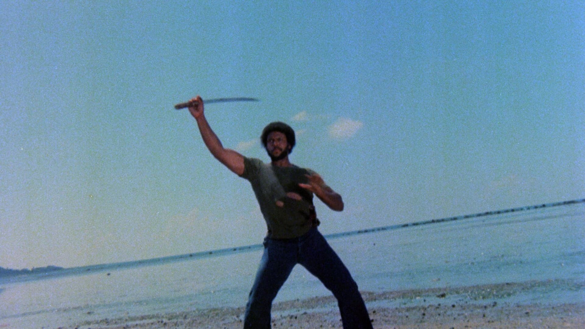 Photo d'illustration du film Le Samouraï noir