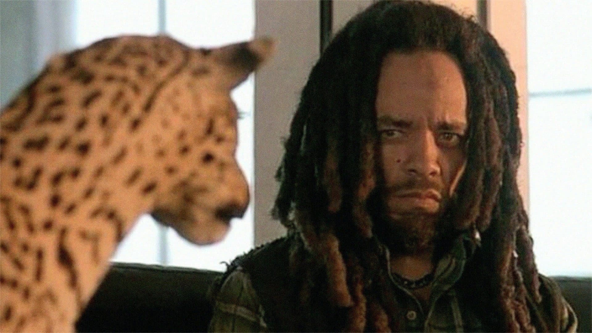 Photo d'illustration du film Que la chasse commence !