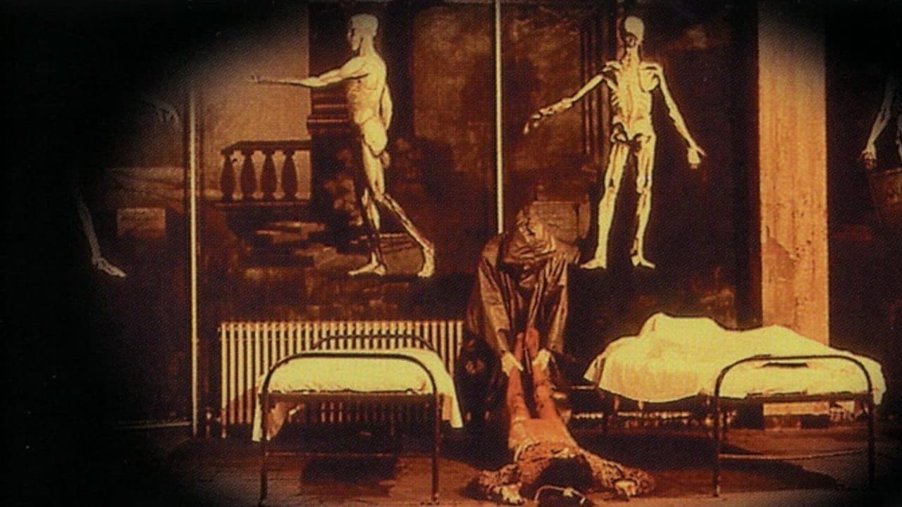 Photo d'illustration du film Evil Dead Trap