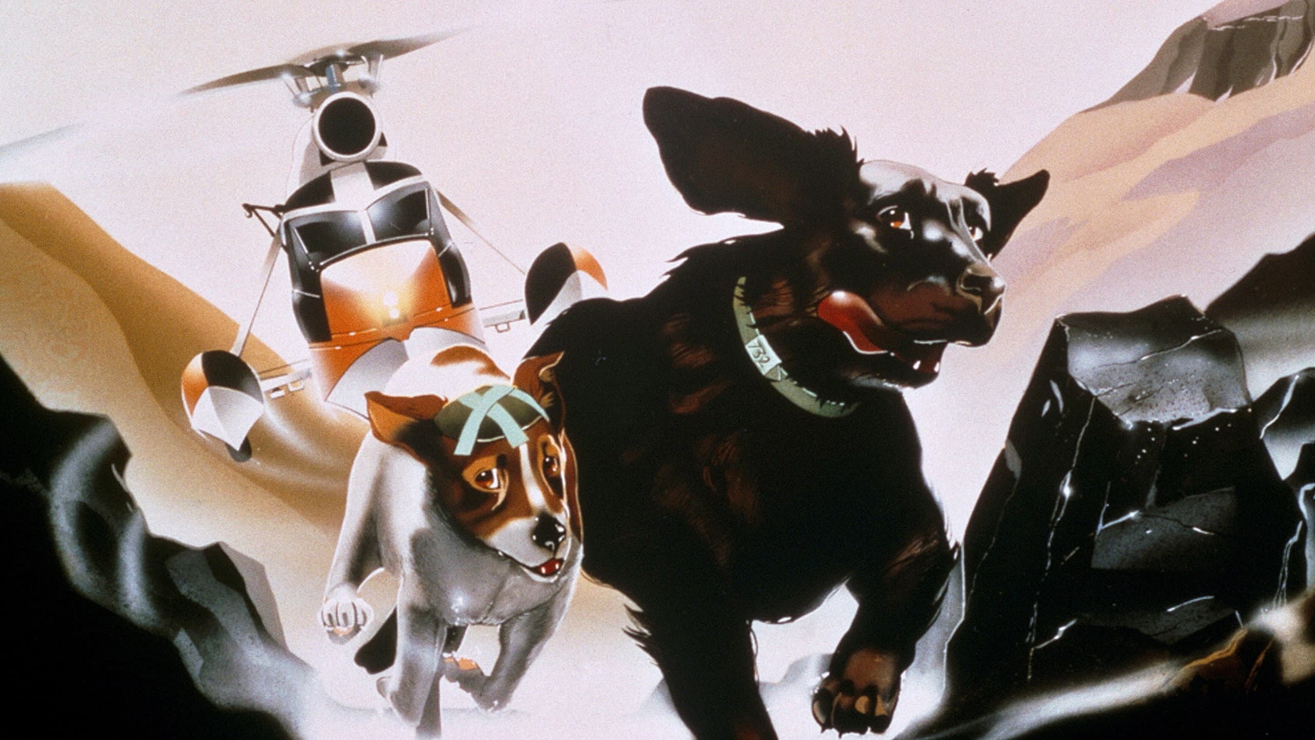 Photo d'illustration du film The Plague Dogs