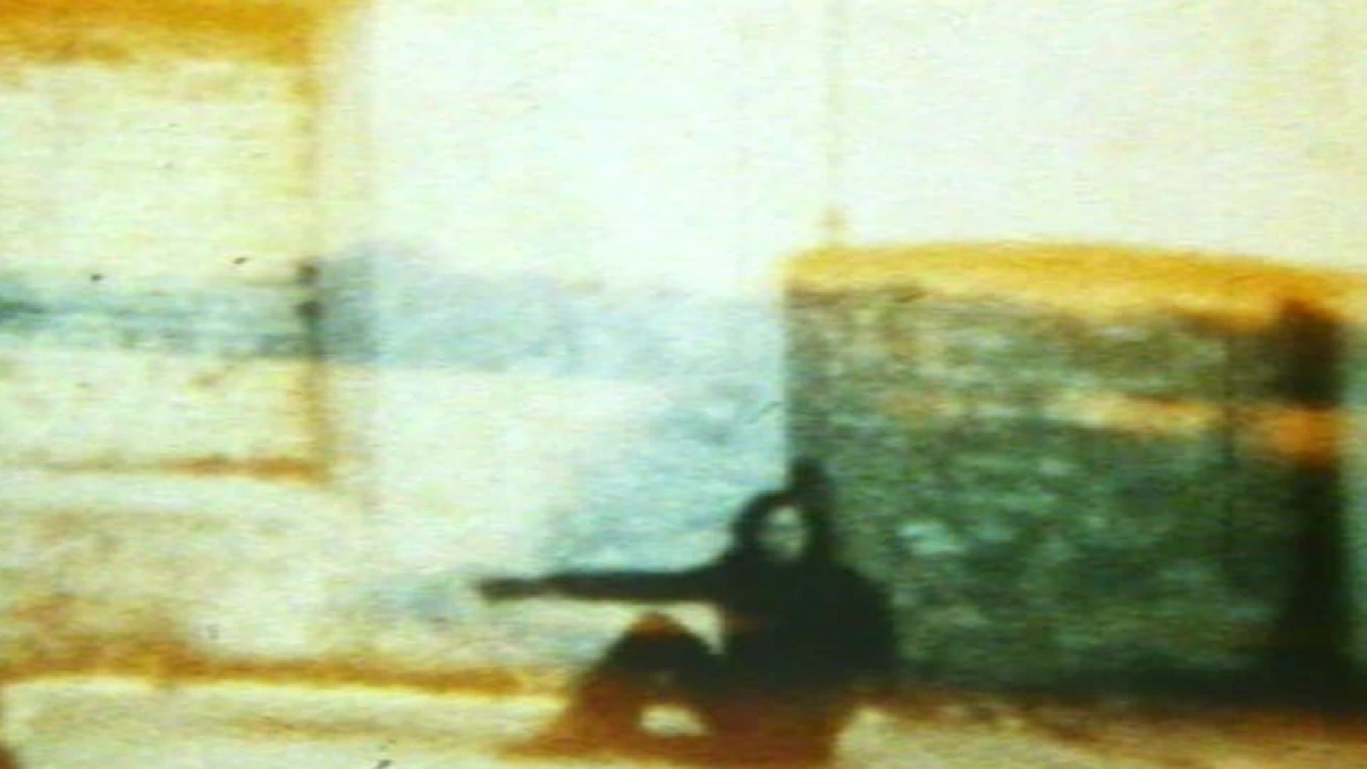 Photo d'illustration du film In the Shadow of the Sun