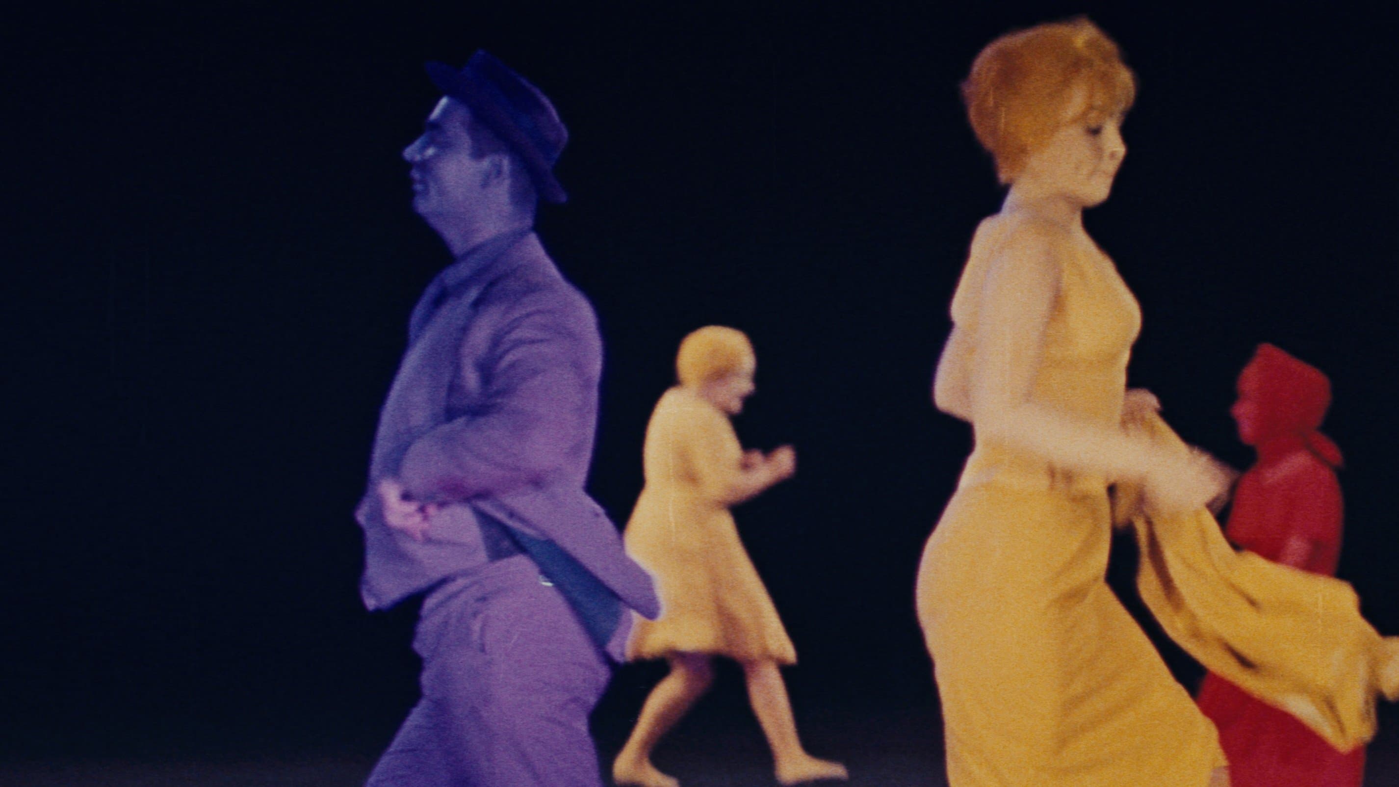 Photo d'illustration du film Un jour, un chat…