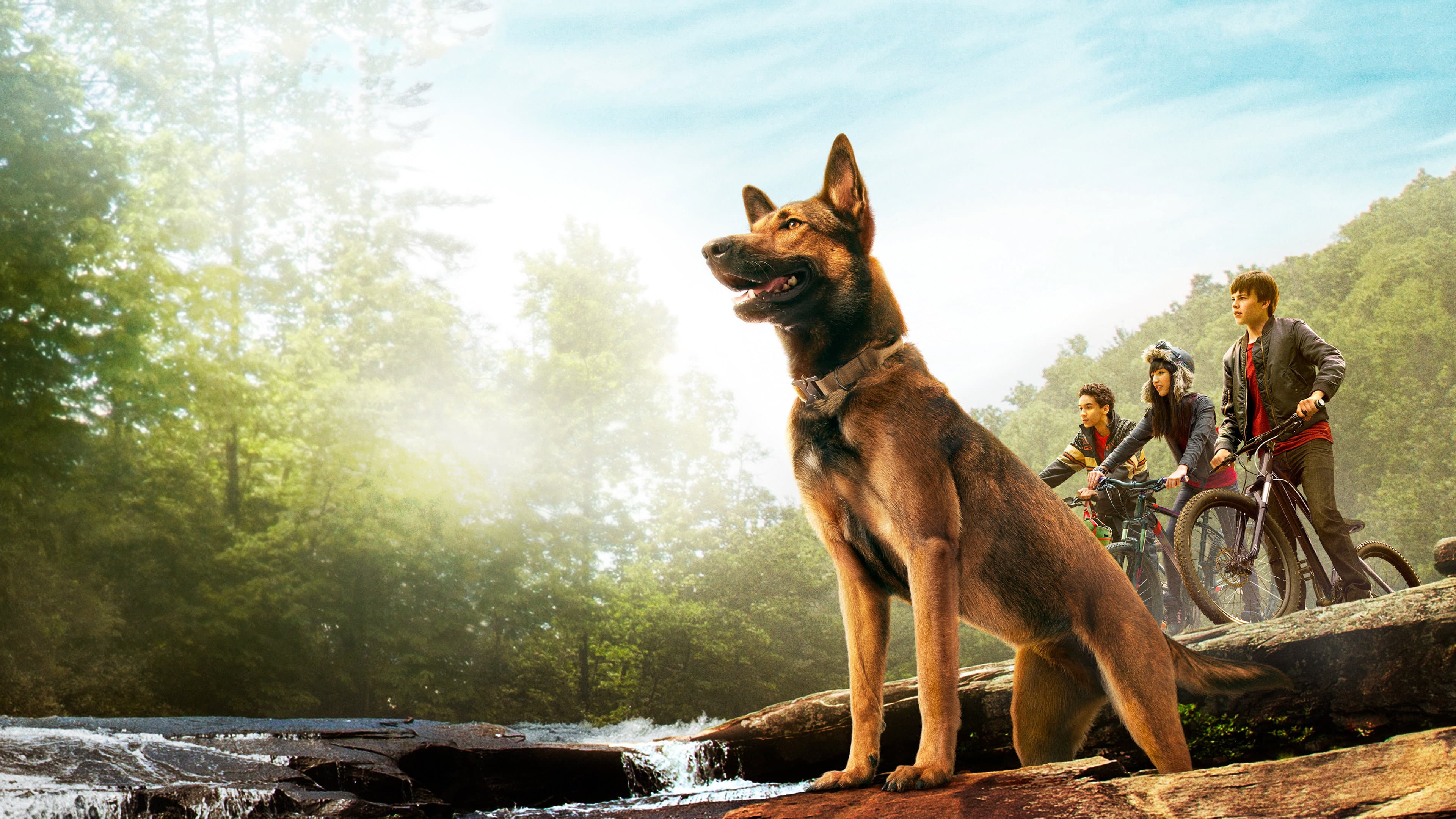 Photo d'illustration du film Max