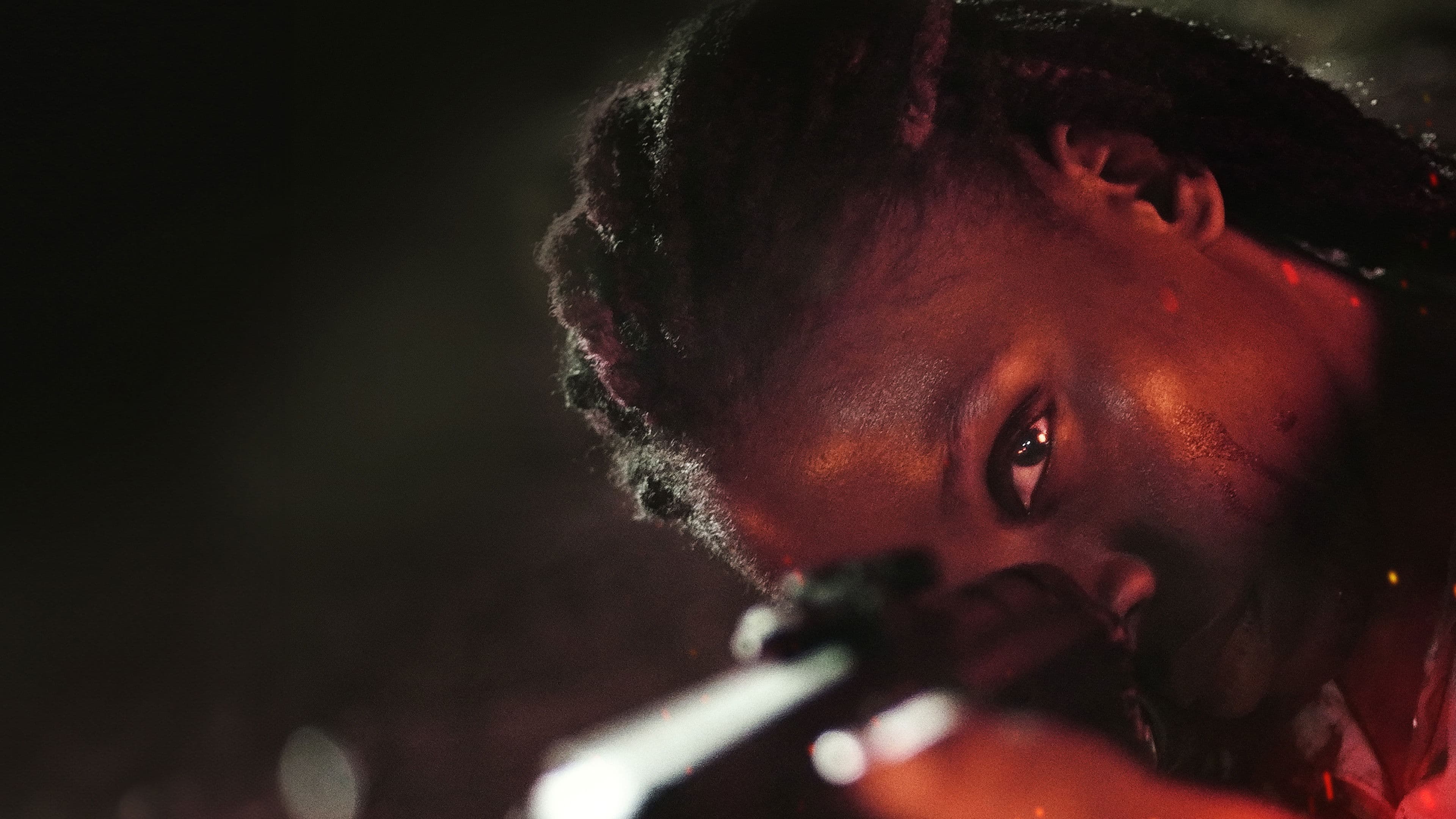 Photo d'illustration du film The Hunted