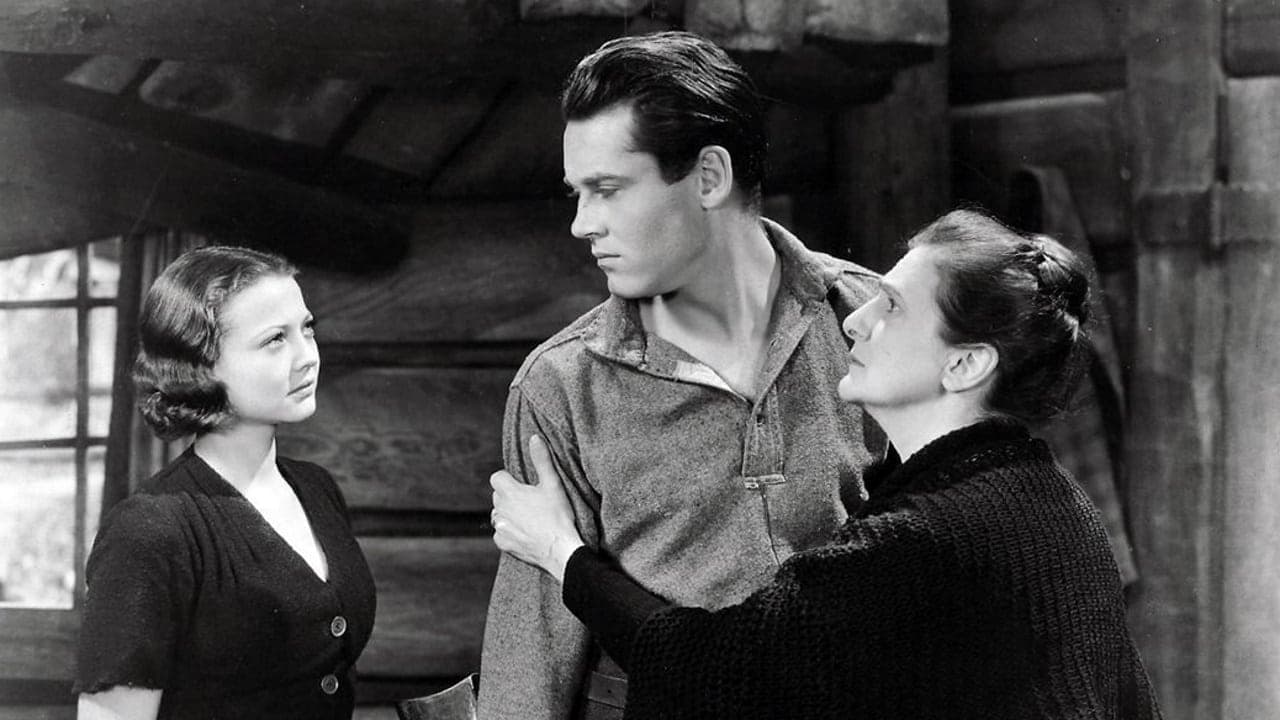 Photo d'illustration du film La Fille du bois maudit