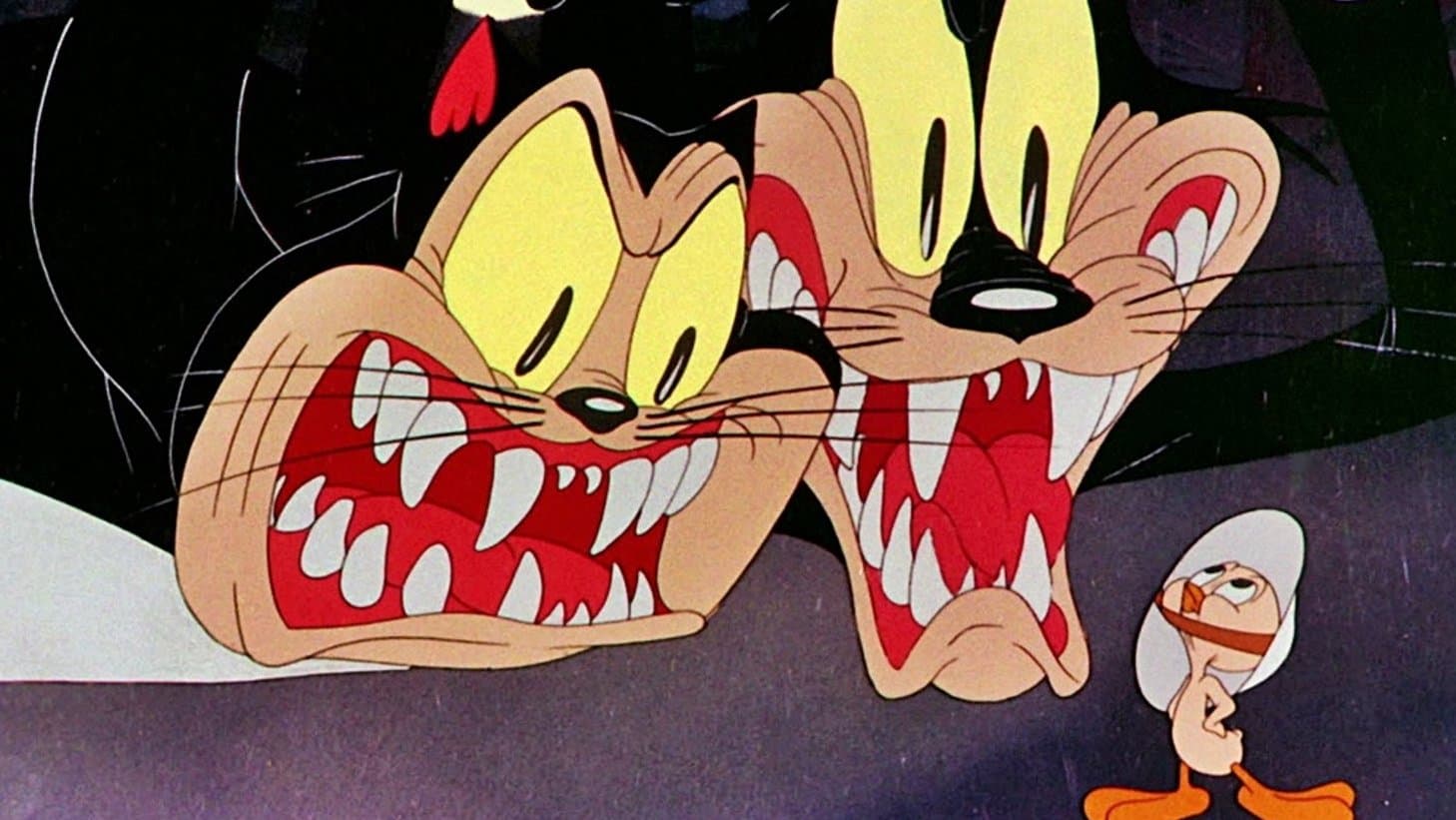 Photo d'illustration du film Histoire de chatons