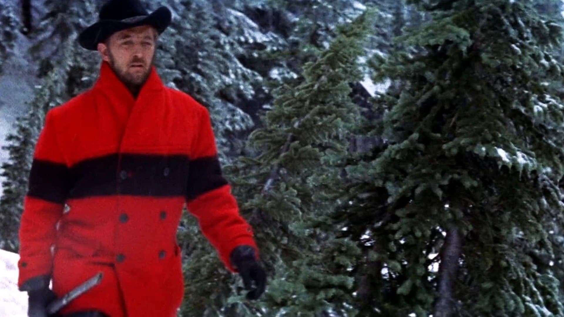 Photo d'illustration du film Track of the Cat