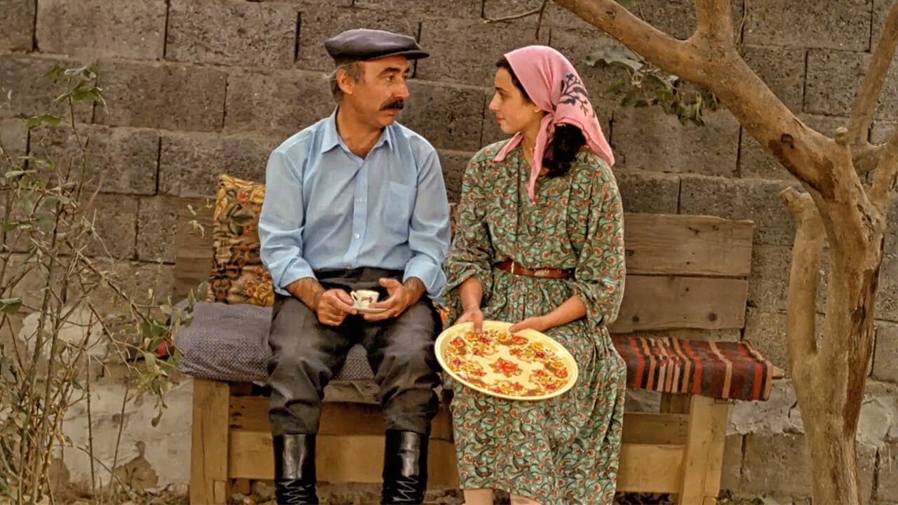 Photo d'illustration du film Züğürt Ağa