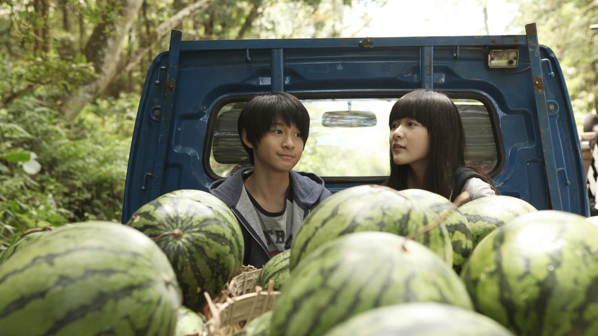 Photo d'illustration du film Starry Starry Night