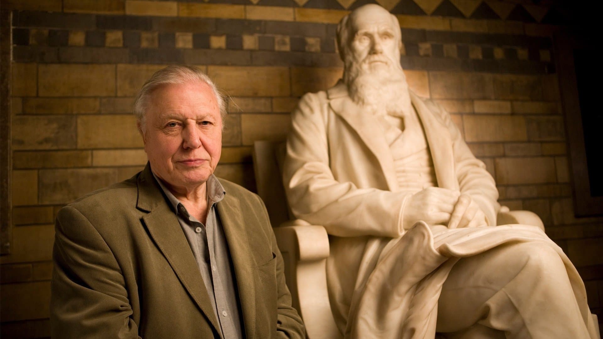 Photo d'illustration du film Charles Darwin and the Tree of Life