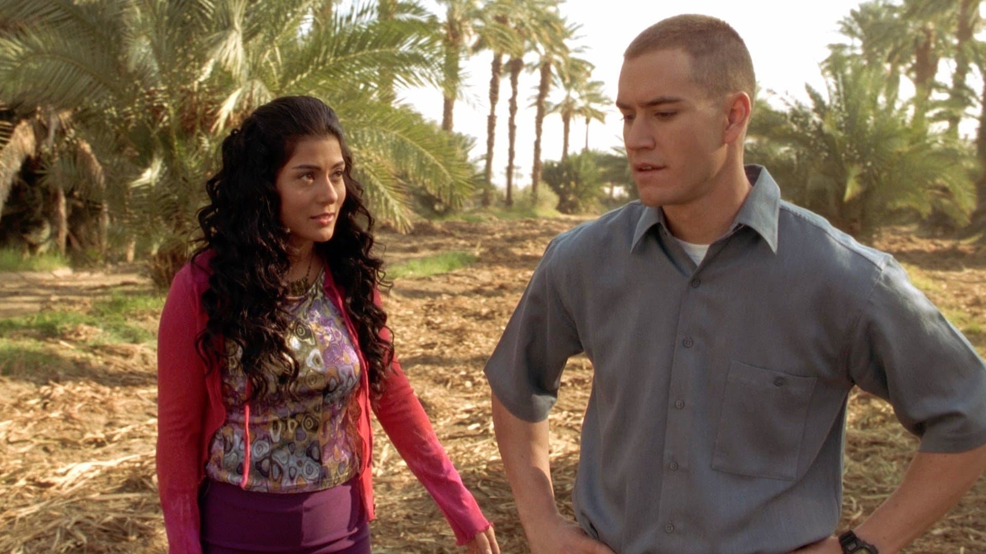 Photo d'illustration du film La princesse et le marine