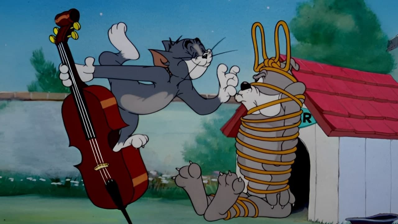 Photo d'illustration du film Amour, amour