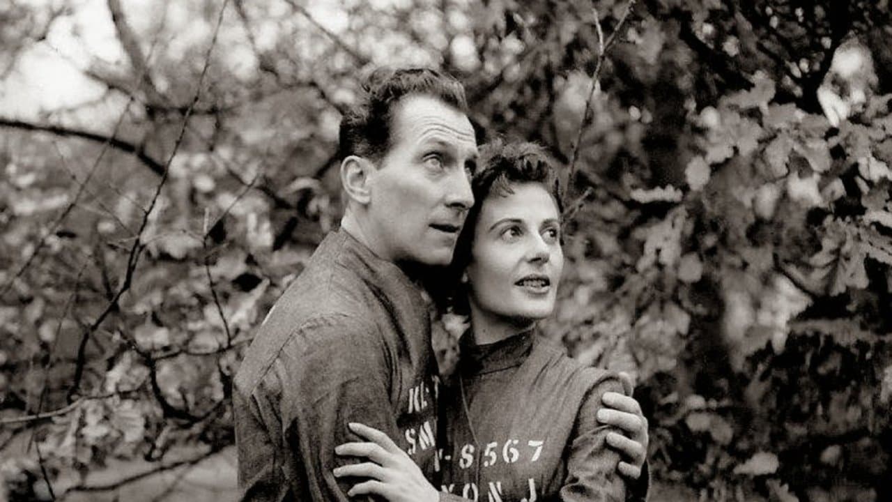 Photo d'illustration du film Nineteen Eighty-Four