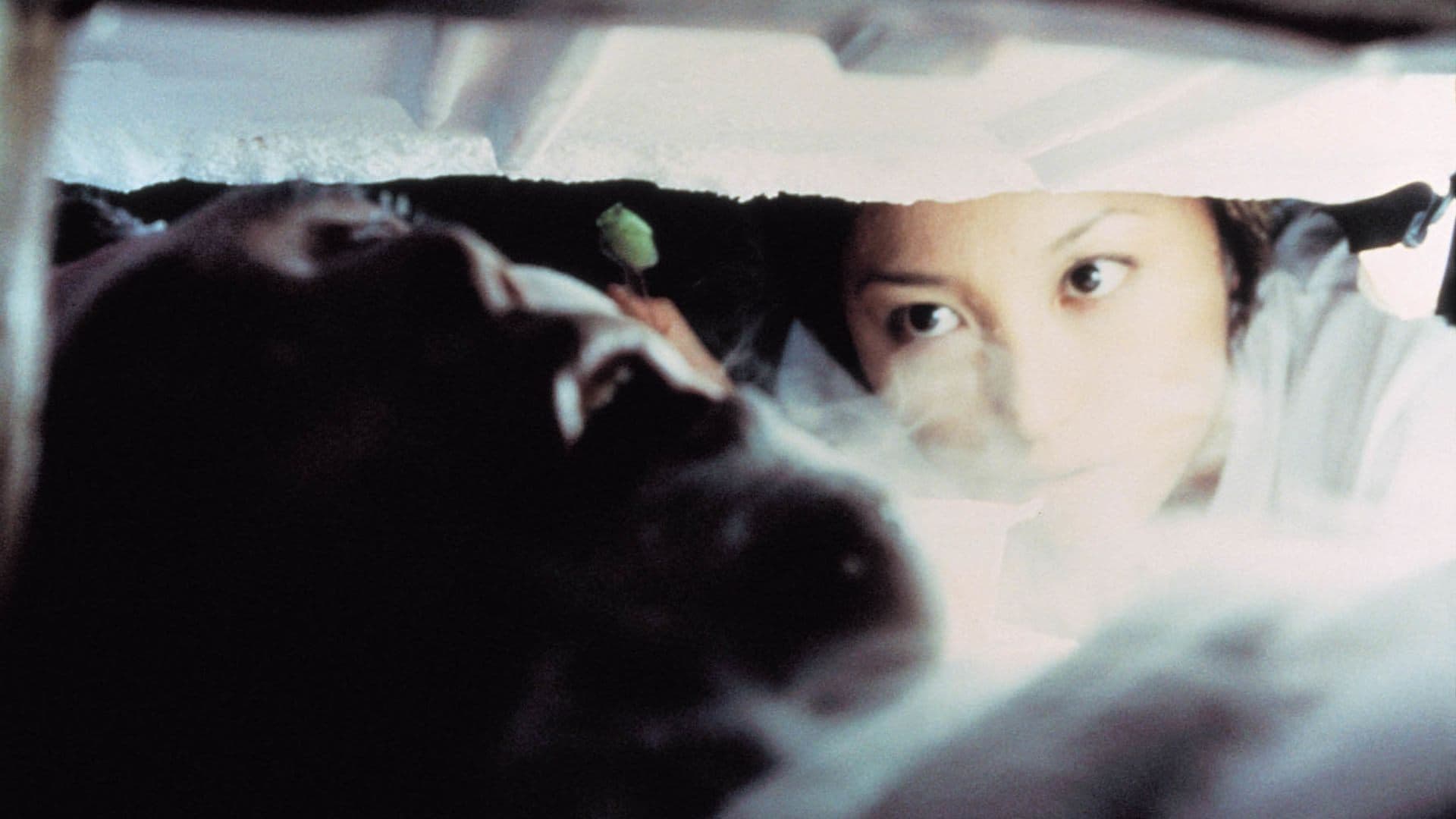 Photo d'illustration du film Freeze Me