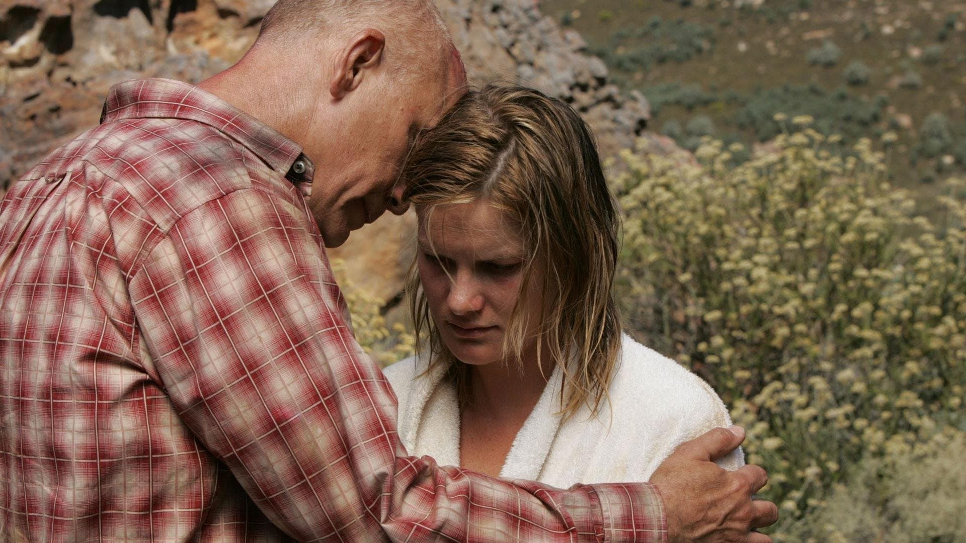 Photo d'illustration du film Disgrâce