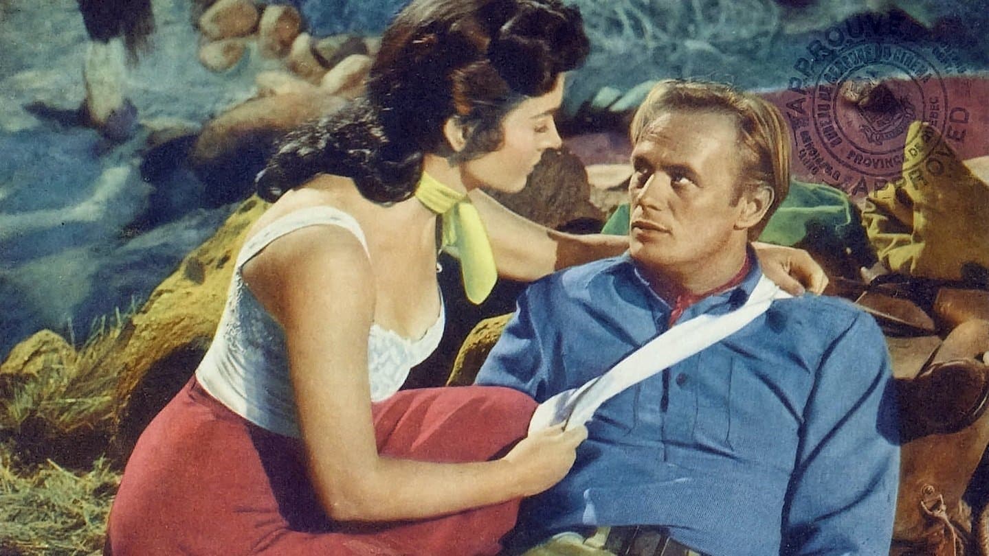 Photo d'illustration du film Coup de fouet en retour