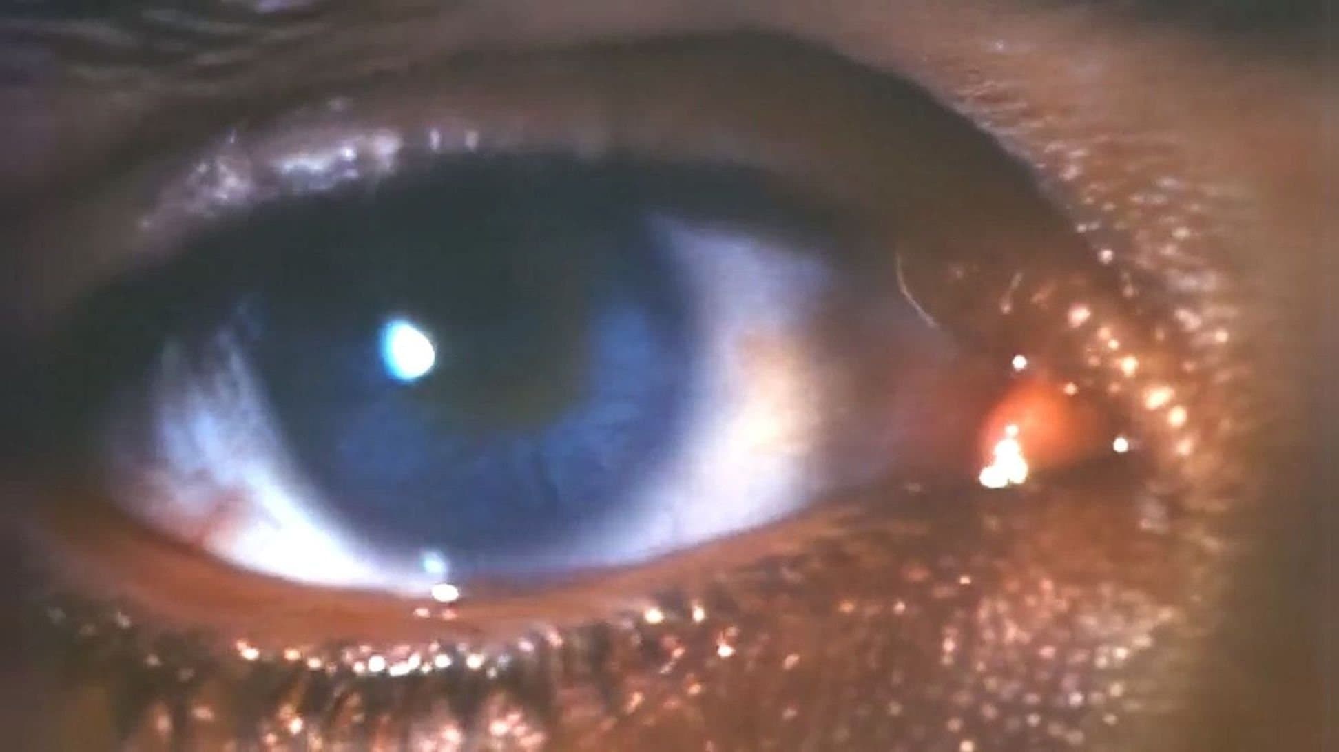 Photo d'illustration du film Face à la mort III