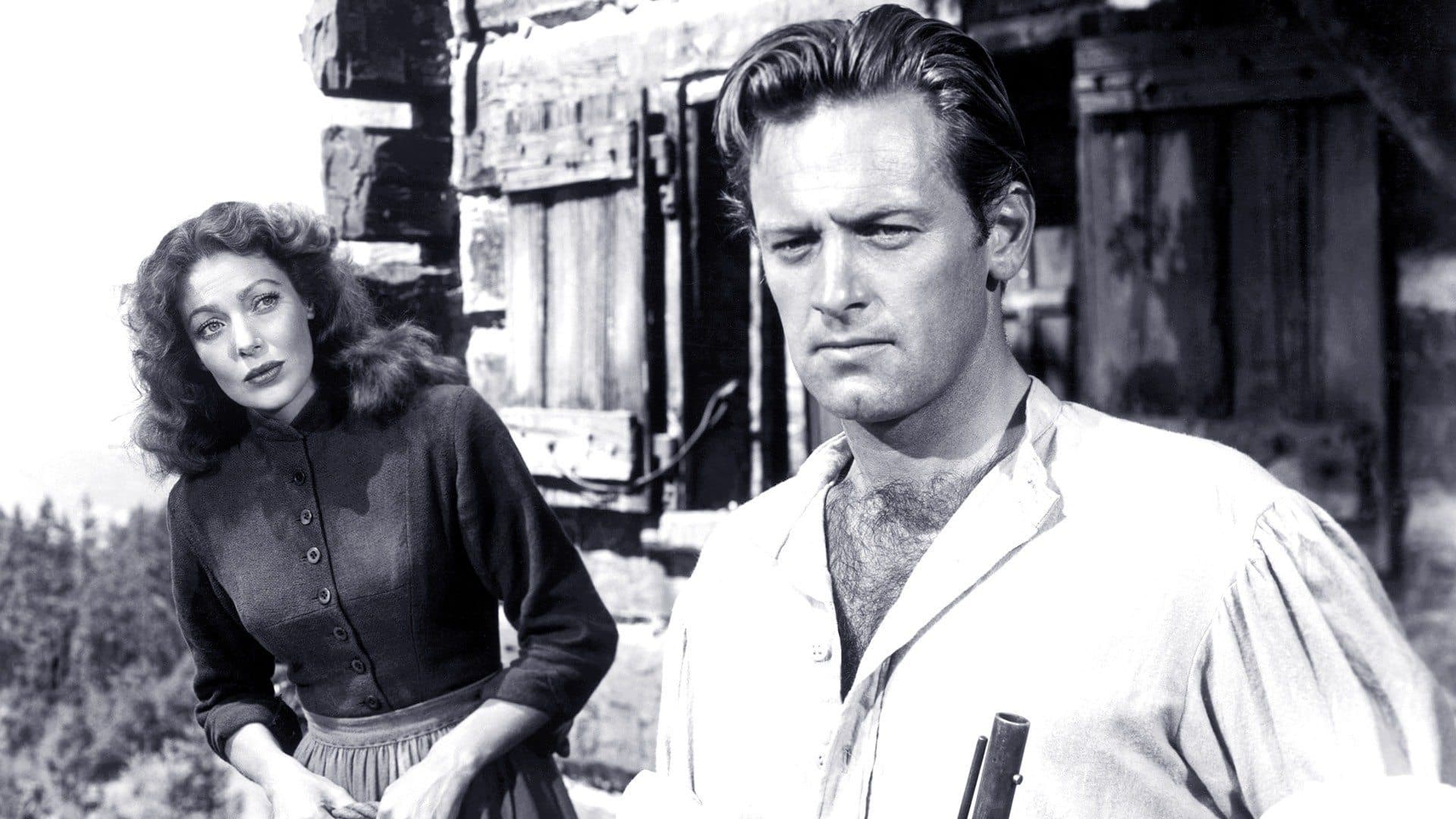 Photo d'illustration du film Rachel et l'étranger