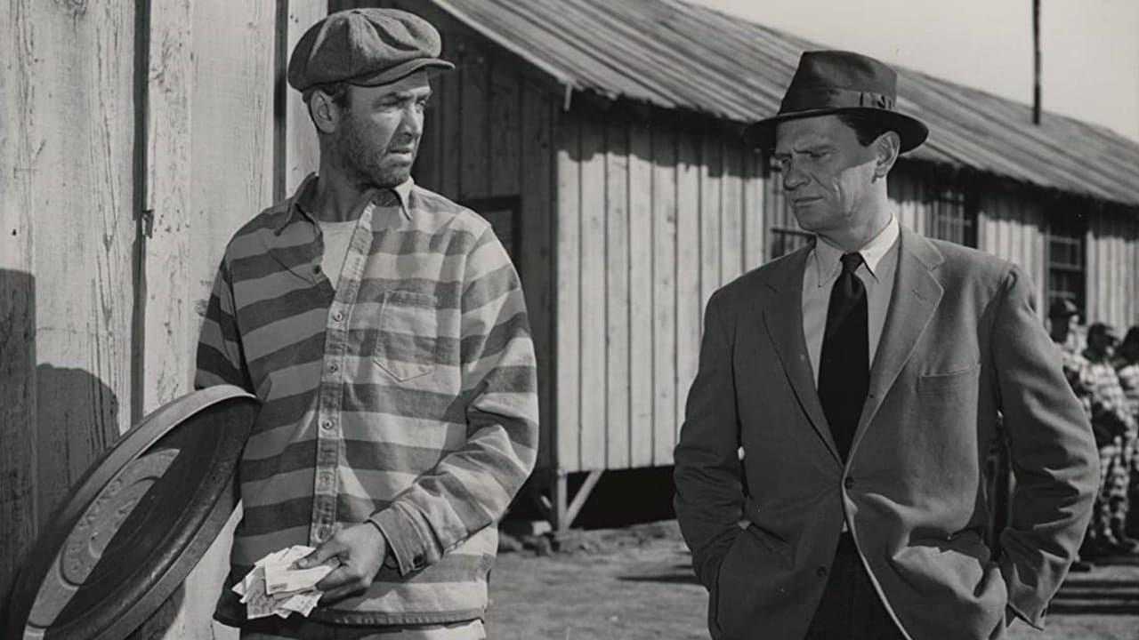 Photo d'illustration du film L'Homme à la carabine