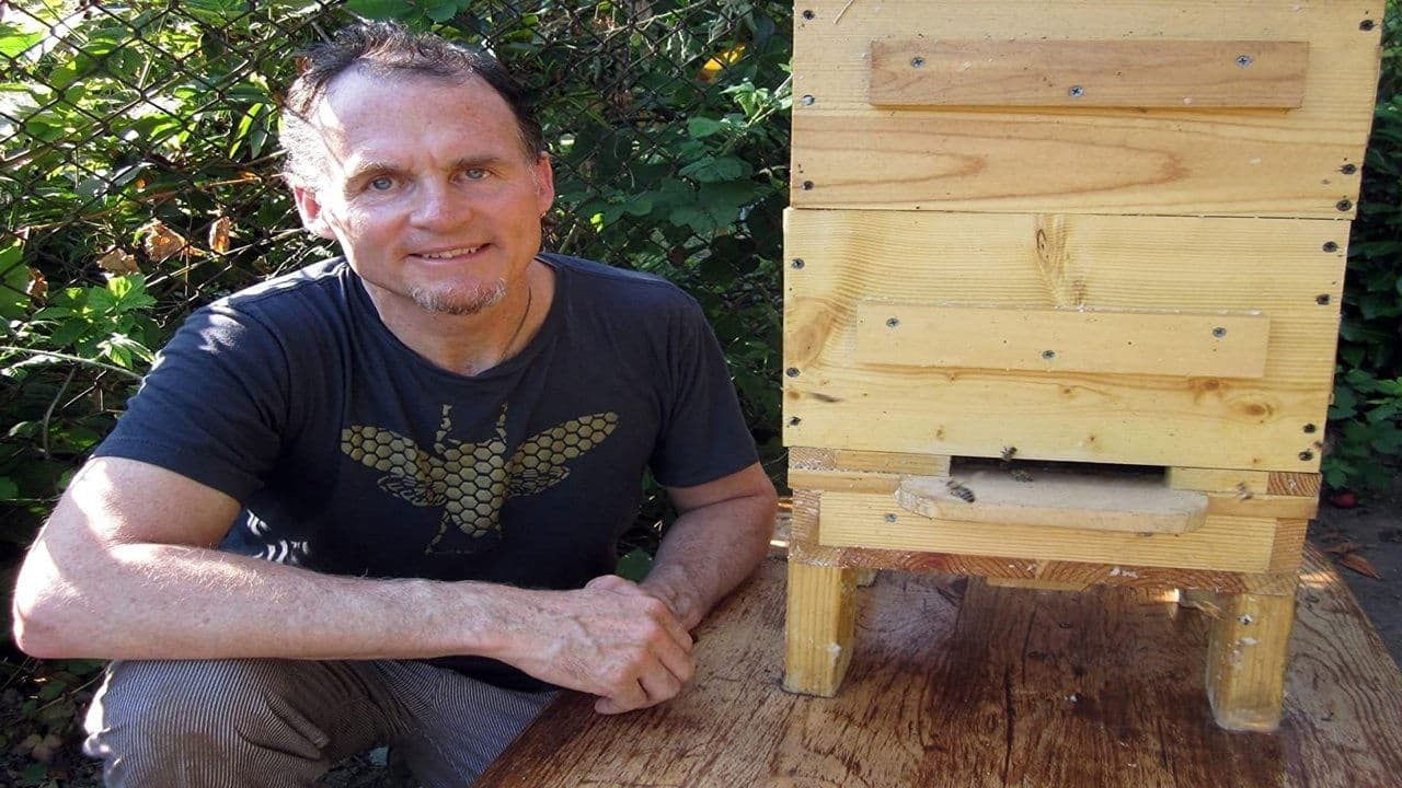 Photo d'illustration du film Queen of the Sun: What Are the Bees Telling Us?‎