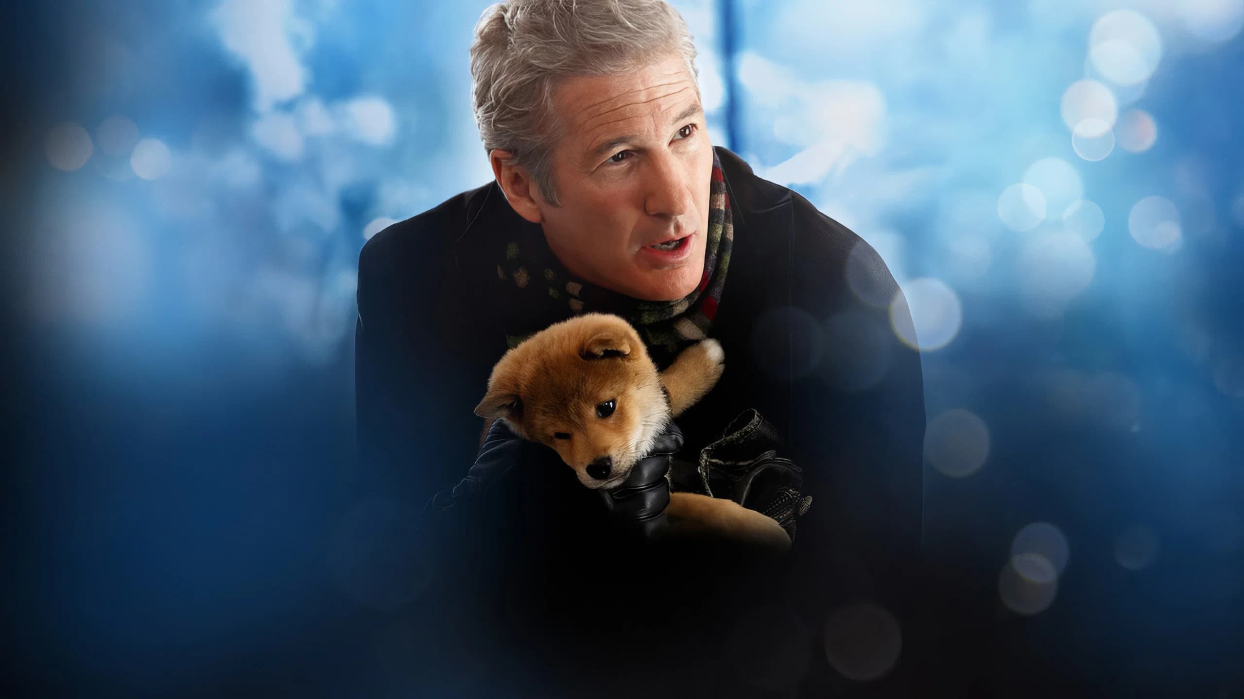 Photo d'illustration du film Hatchi