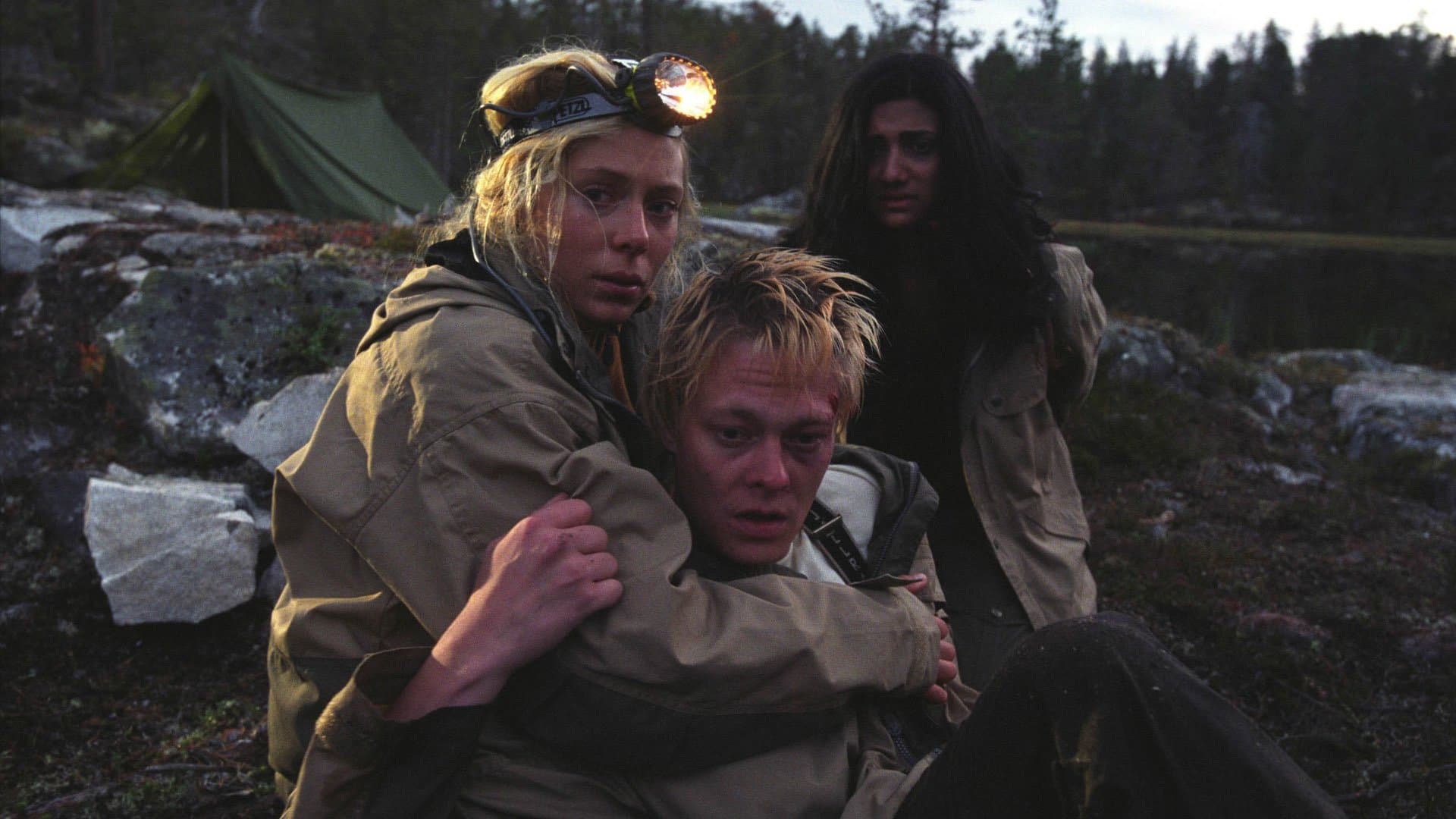 Photo d'illustration du film Dark Woods