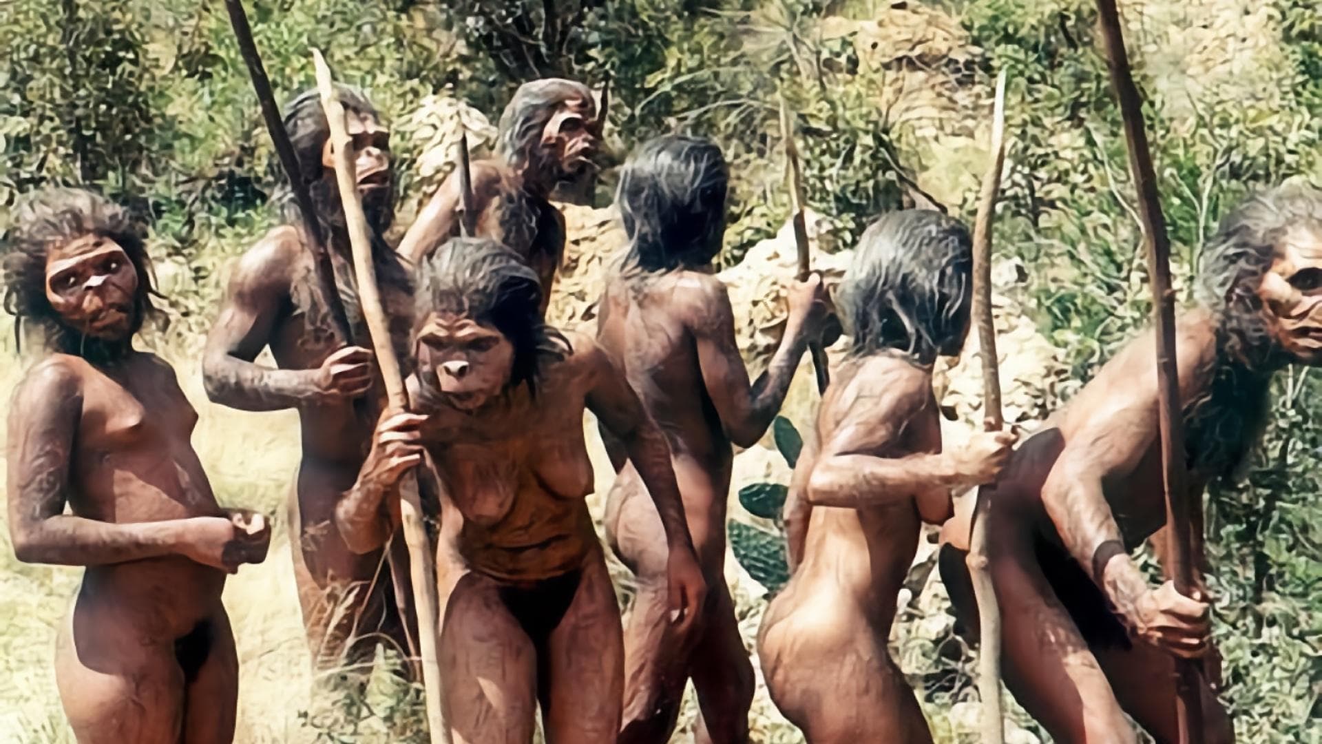 Photo d'illustration du film L'Odyssée de l'espèce