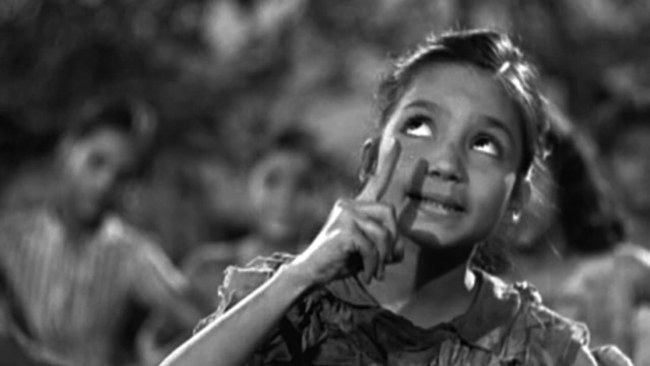 Photo d'illustration du film Le petit cireur