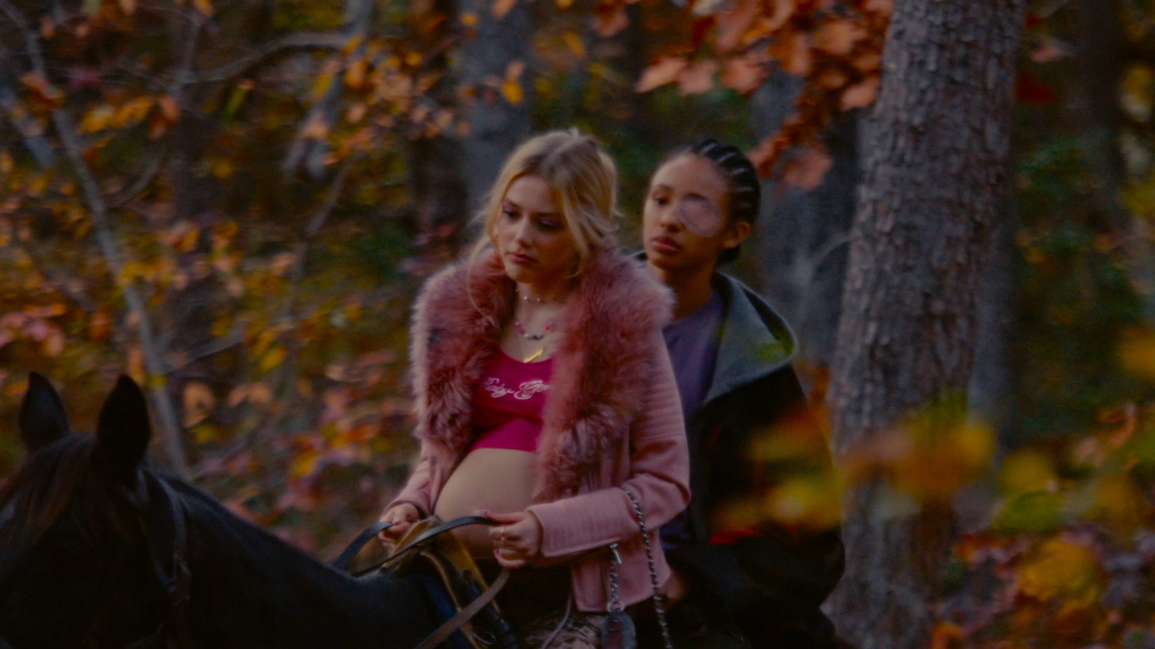 Photo d'illustration du film Silver Star