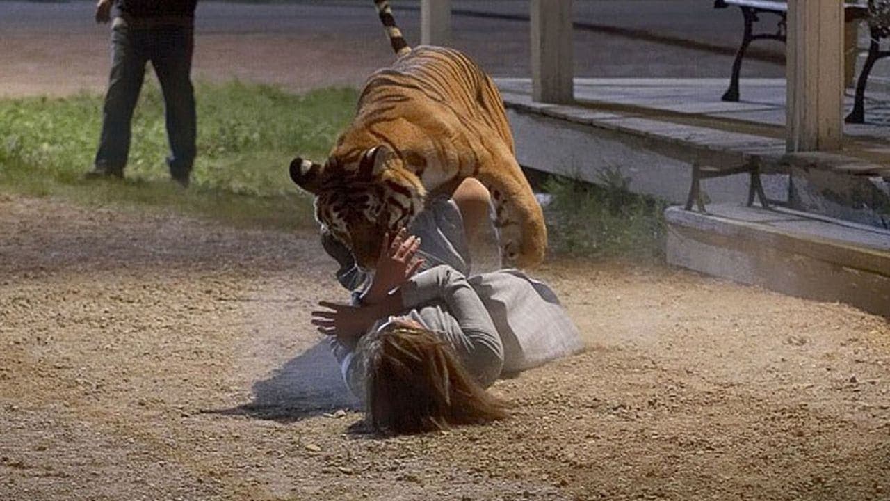 Photo d'illustration du film L'Instinct du chasseur